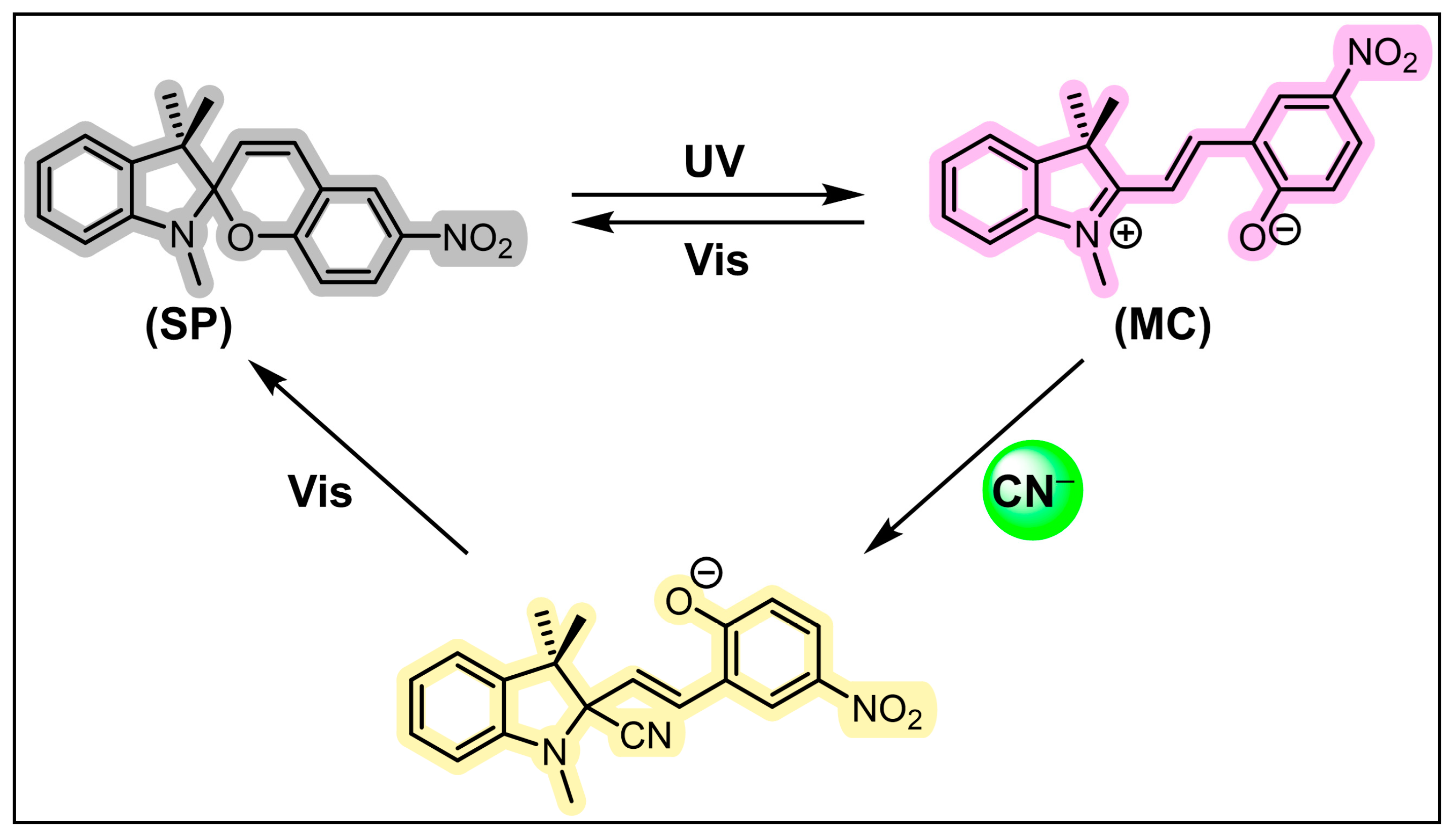 Molecules 29 02521 g011