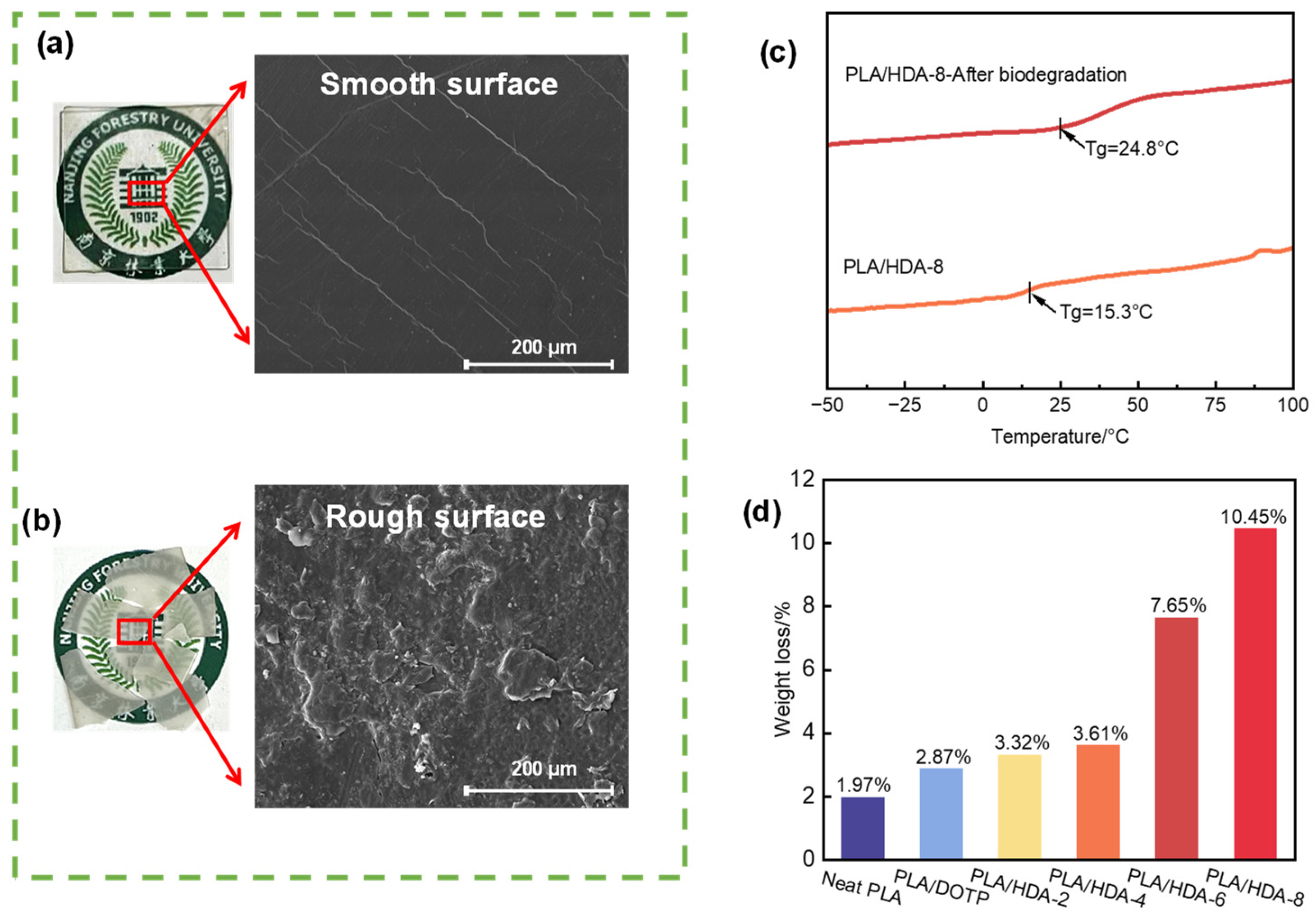 Molecules 29 02526 g008