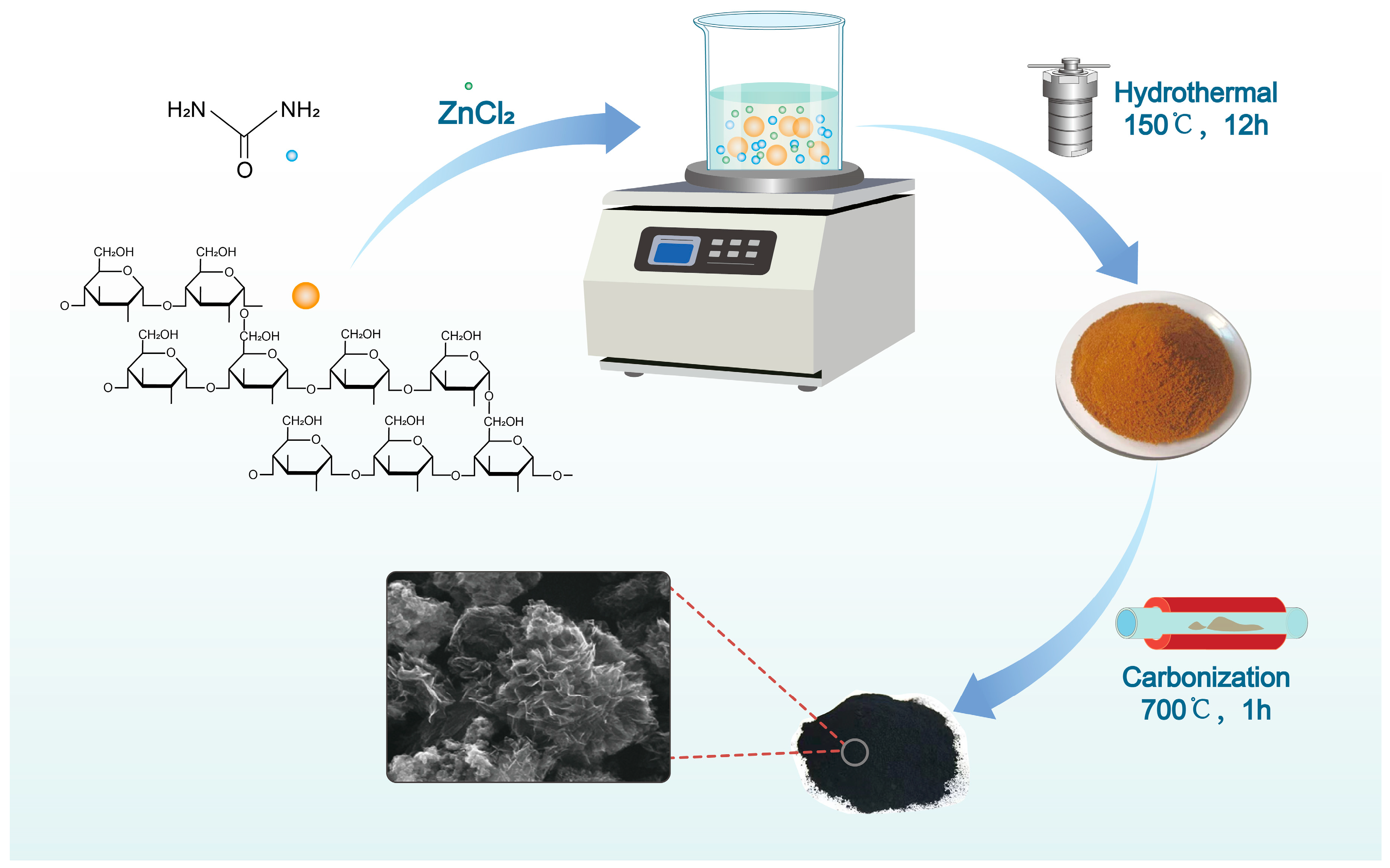 Molecules 29 02532 sch001