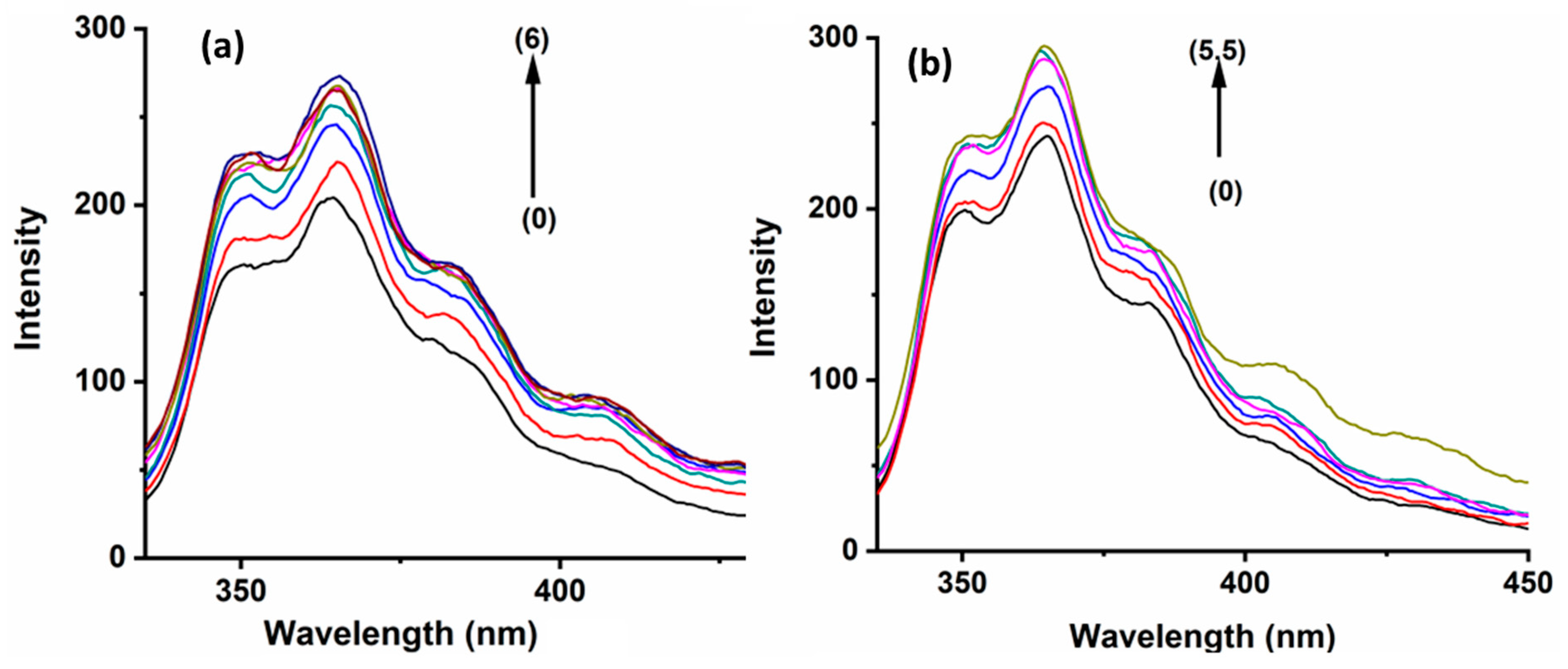 Molecules 29 02535 g002