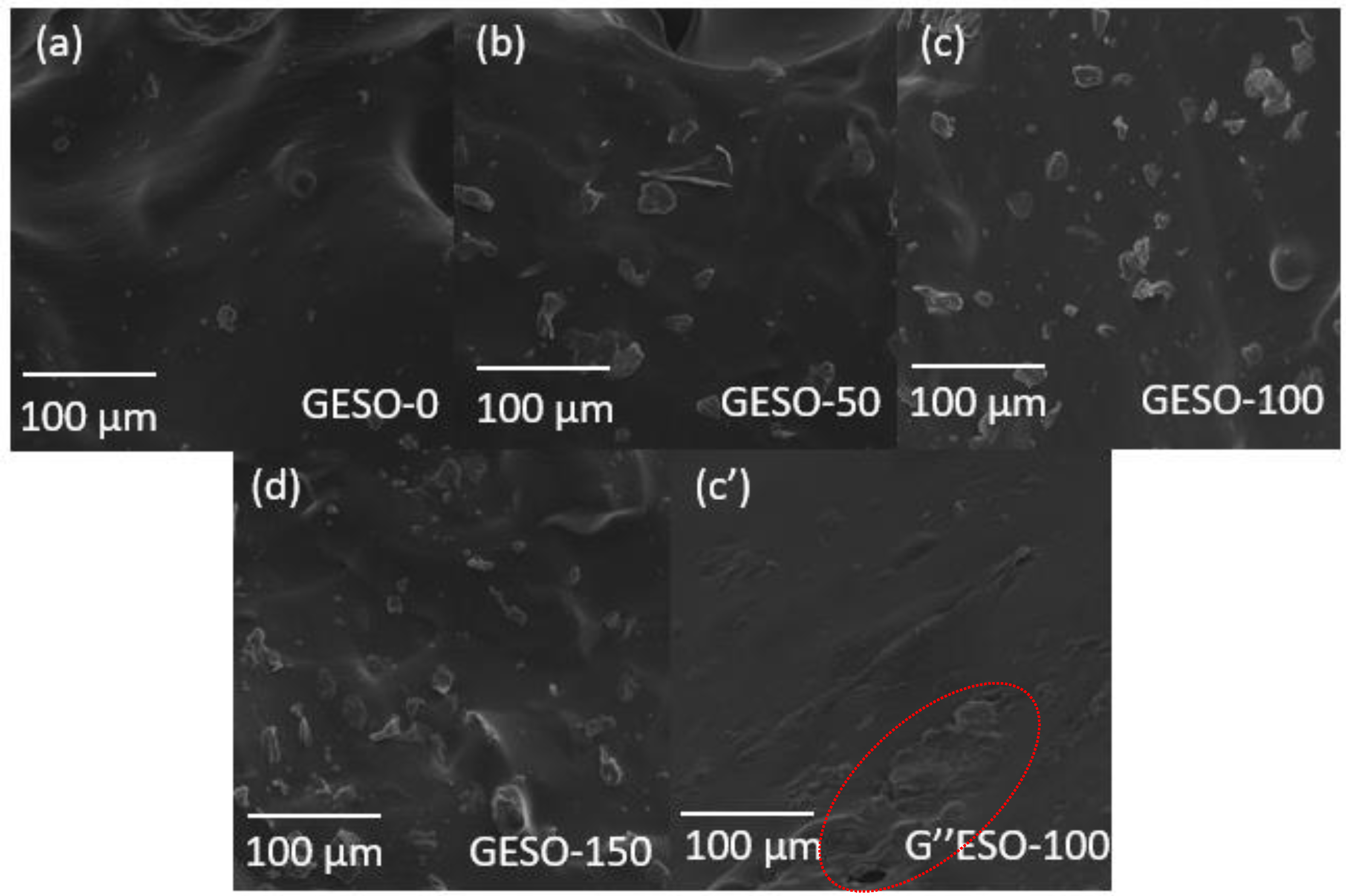 Molecules 29 02539 g002