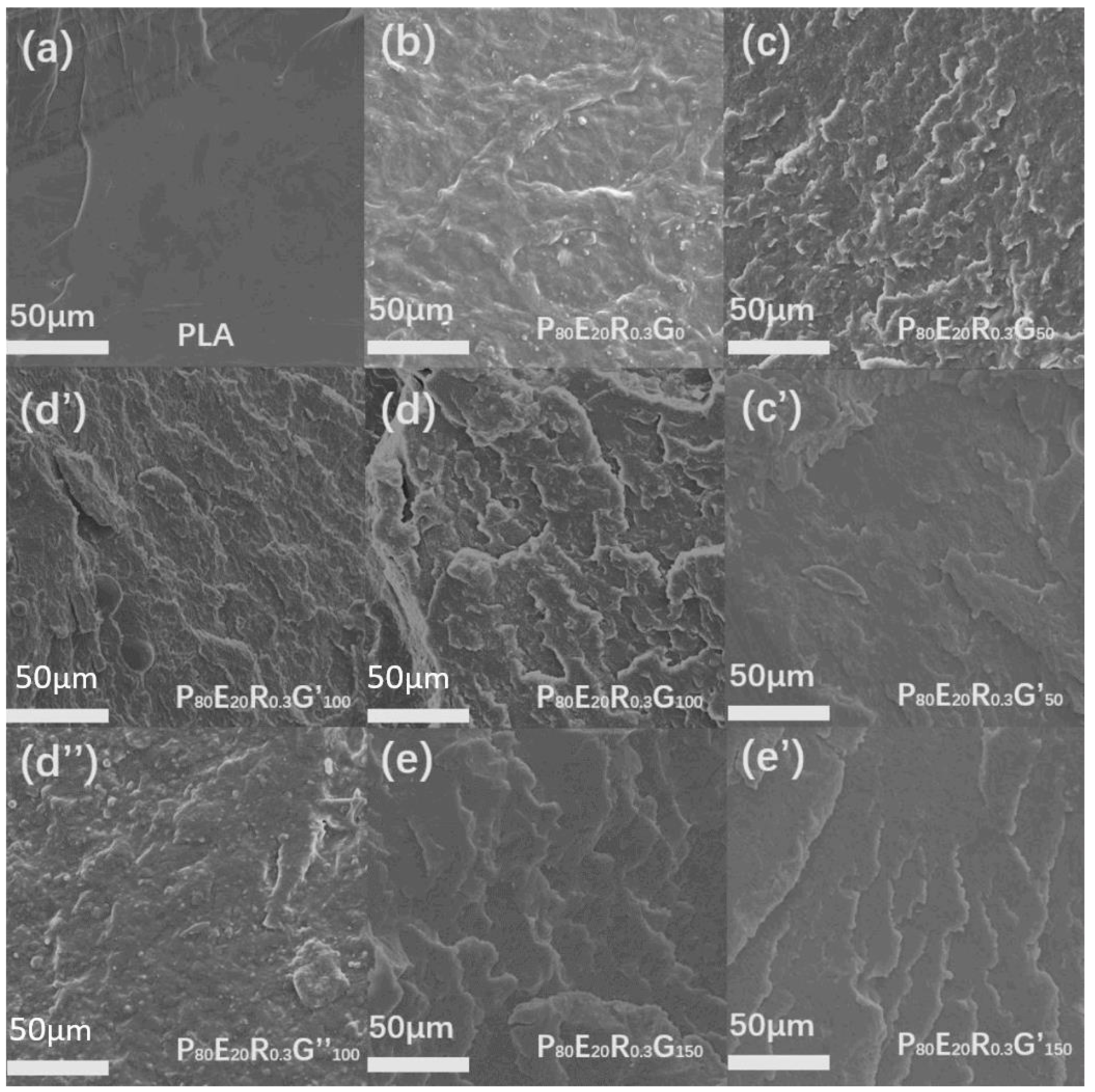 Molecules 29 02539 g004