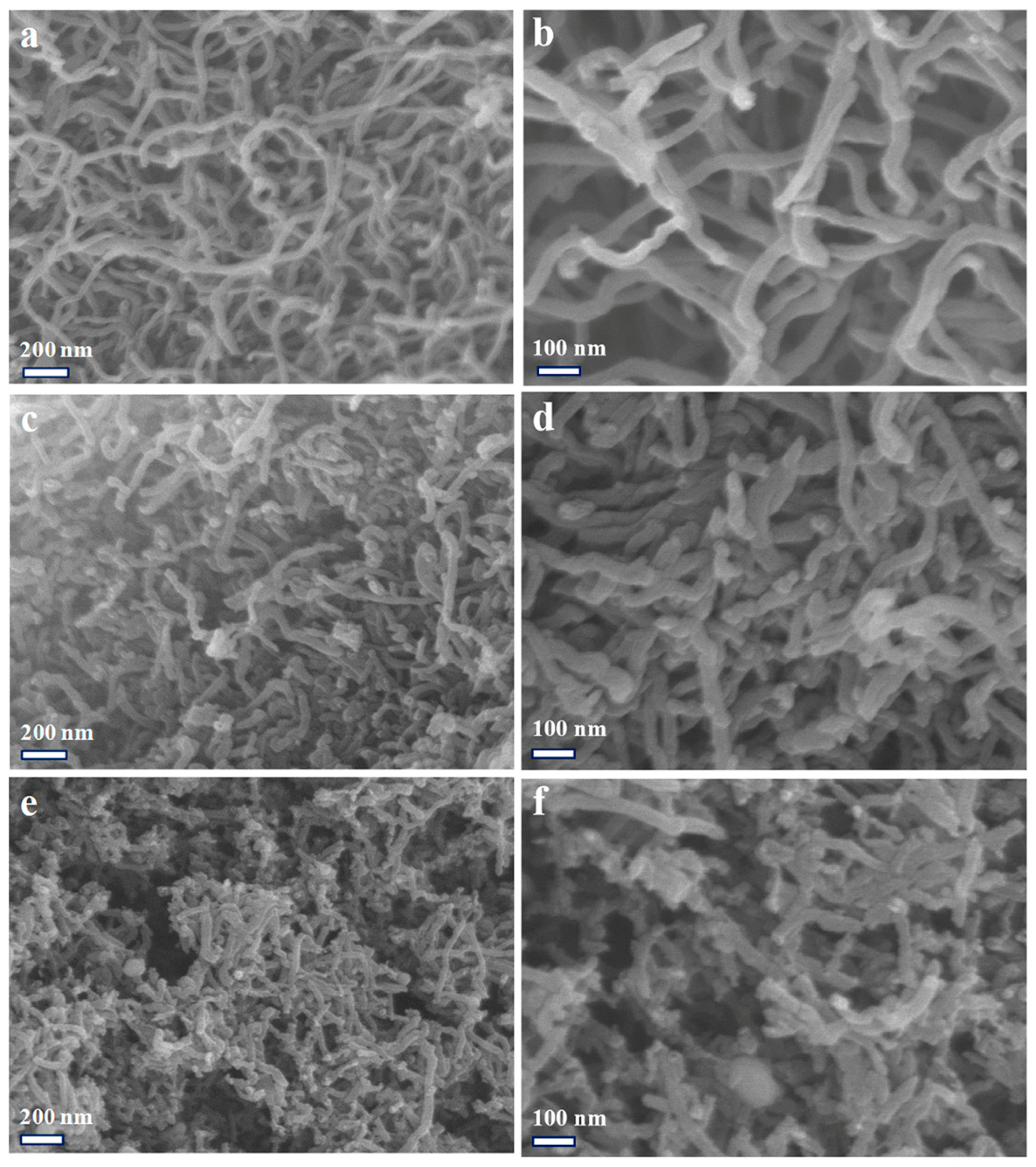 Molecules 29 02541 g002