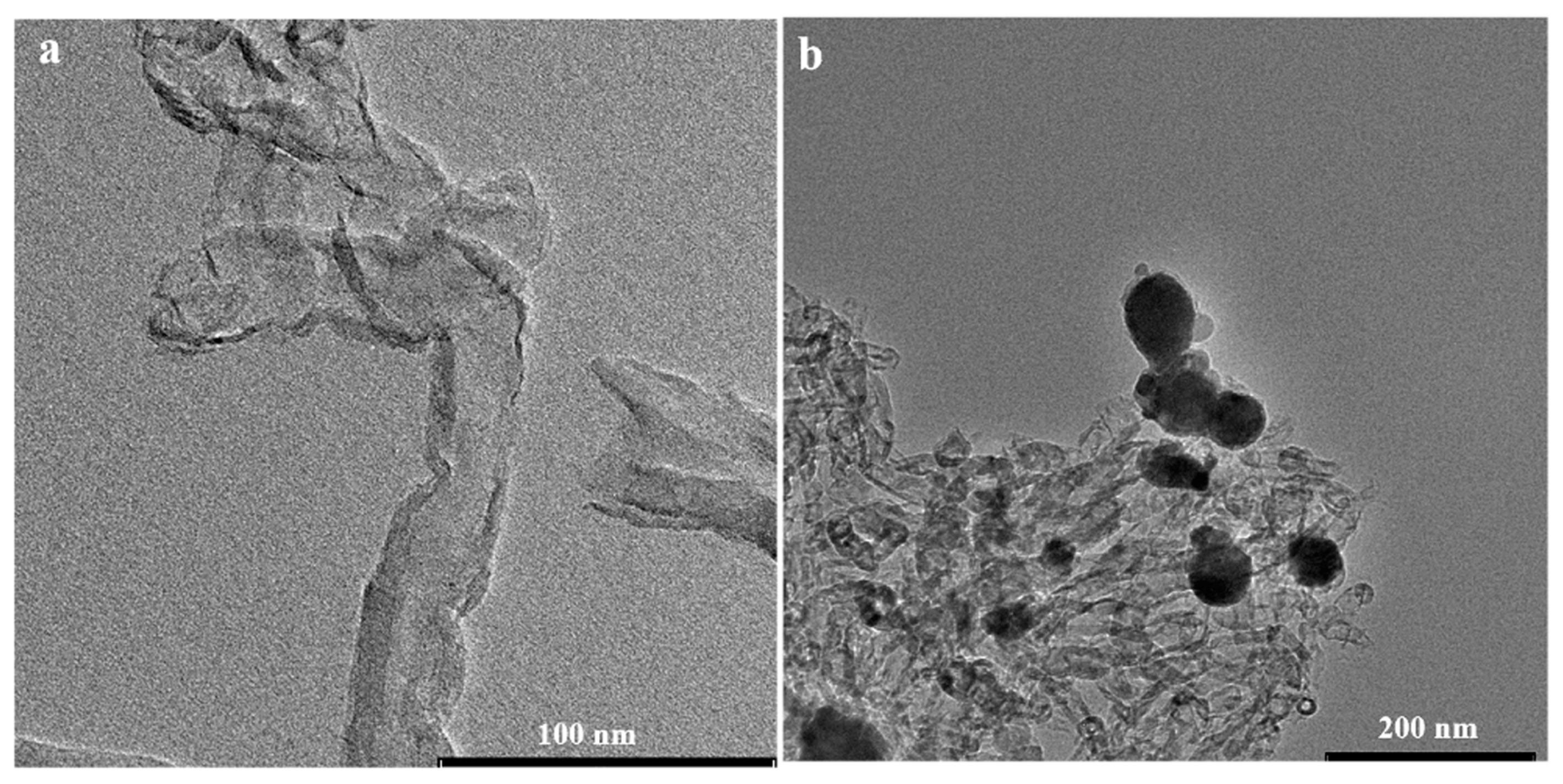 Molecules 29 02541 g003