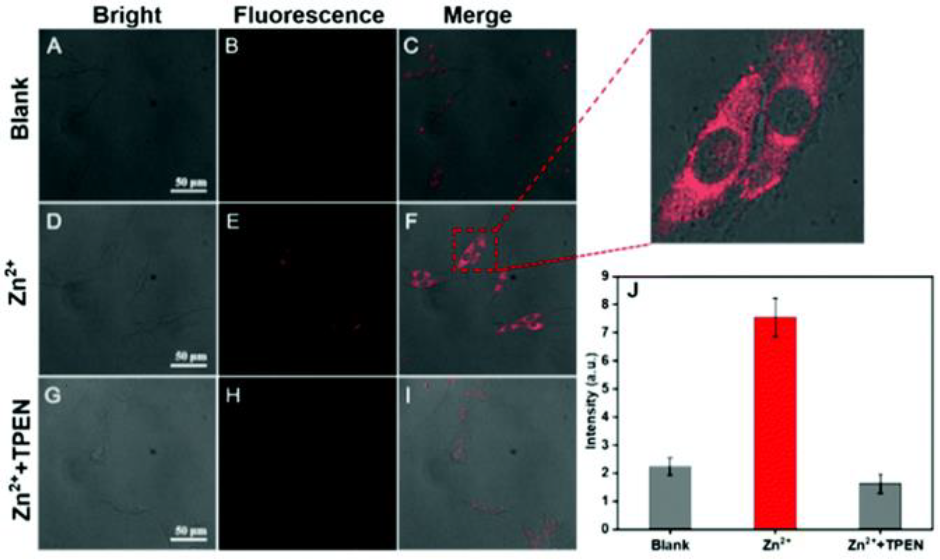 Molecules 29 02542 g002