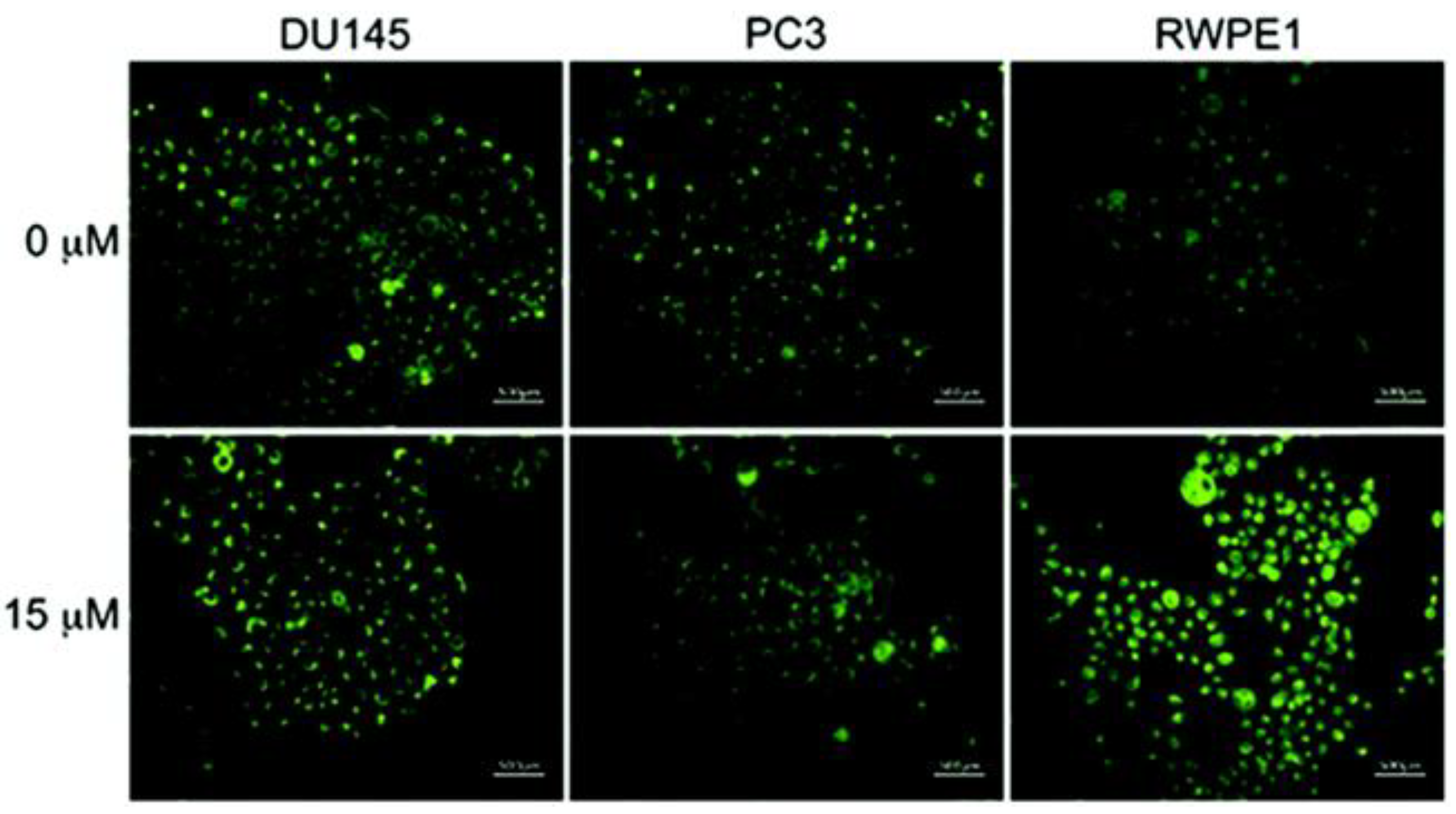 Molecules 29 02542 g007