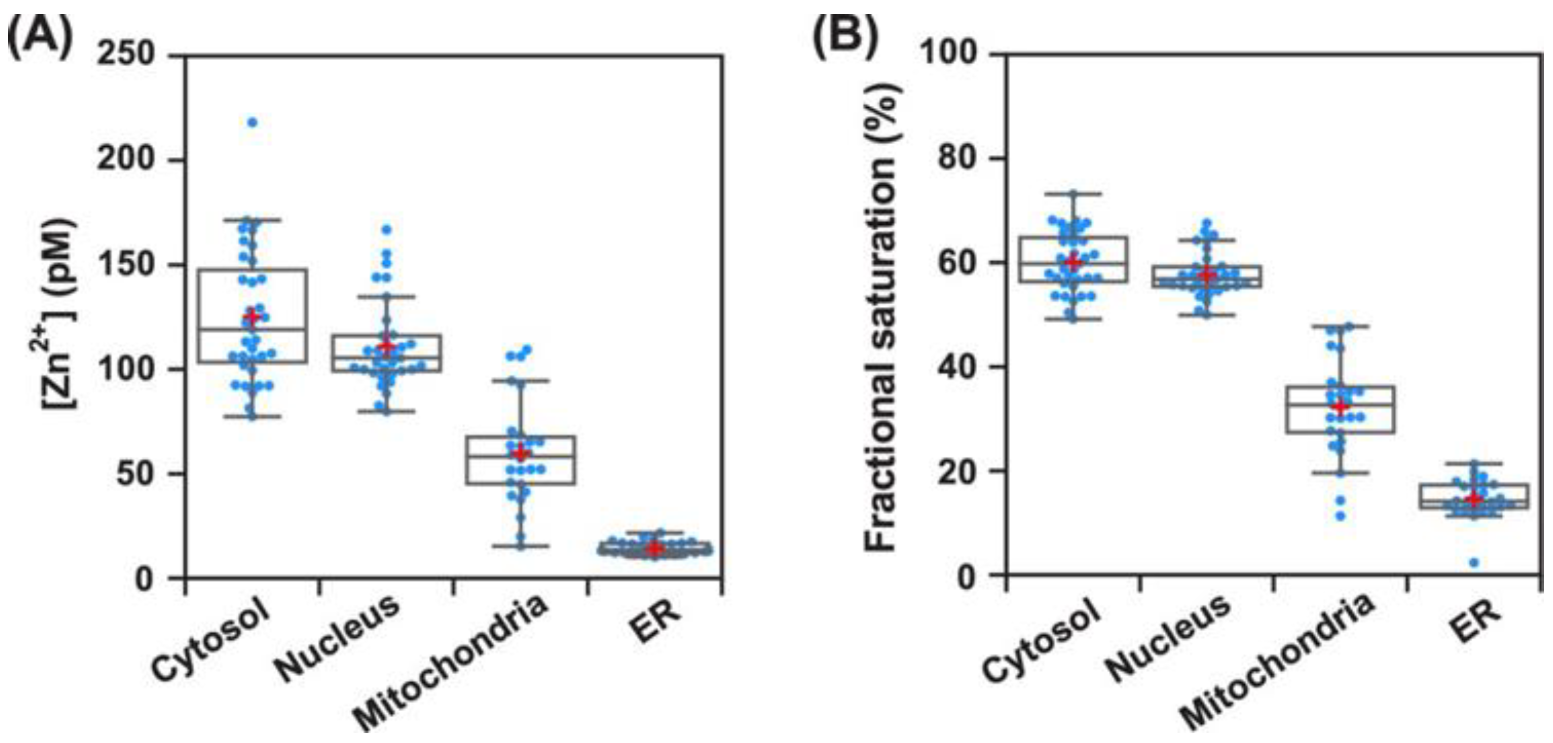 Molecules 29 02542 g012