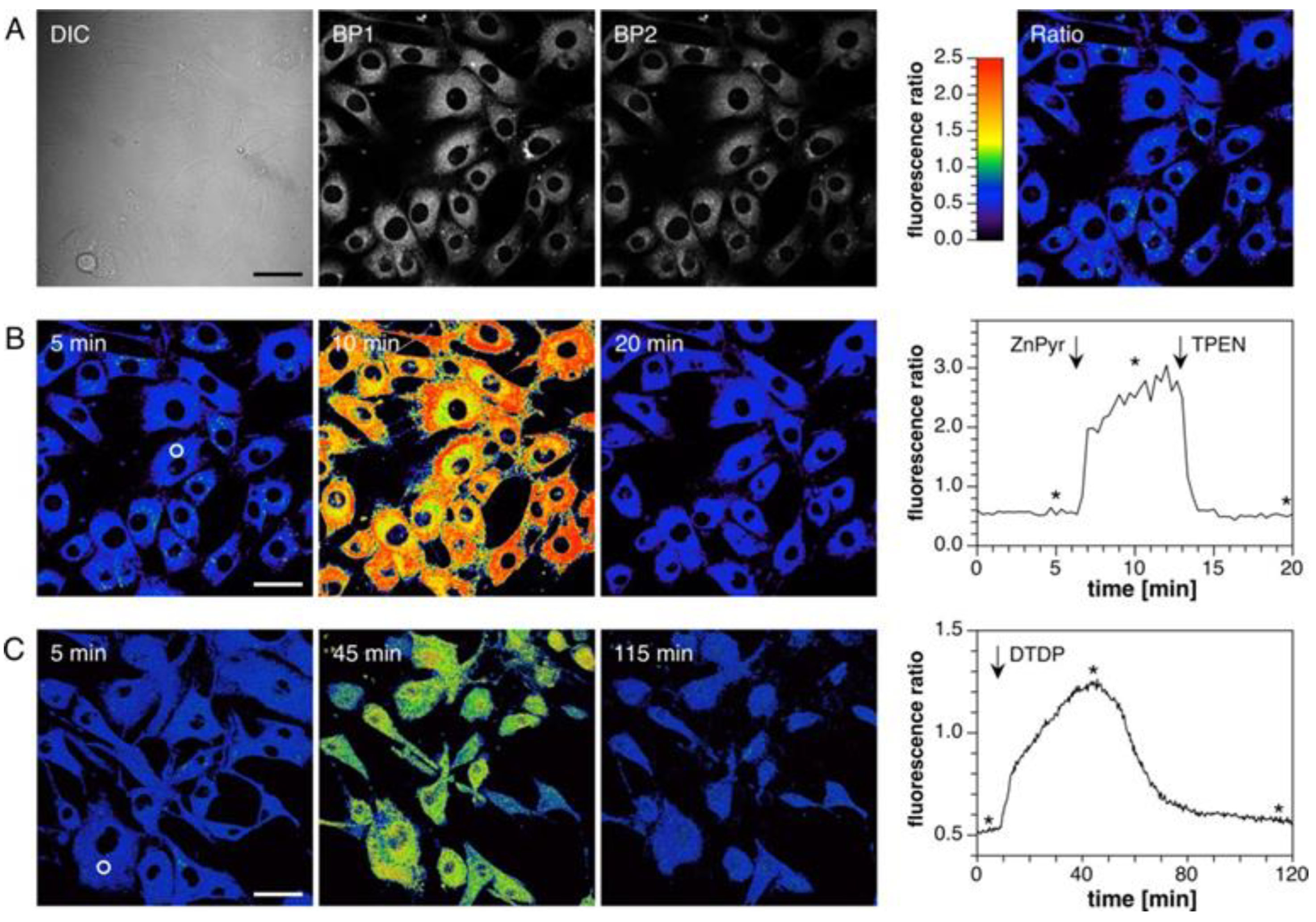 Molecules 29 02542 g013