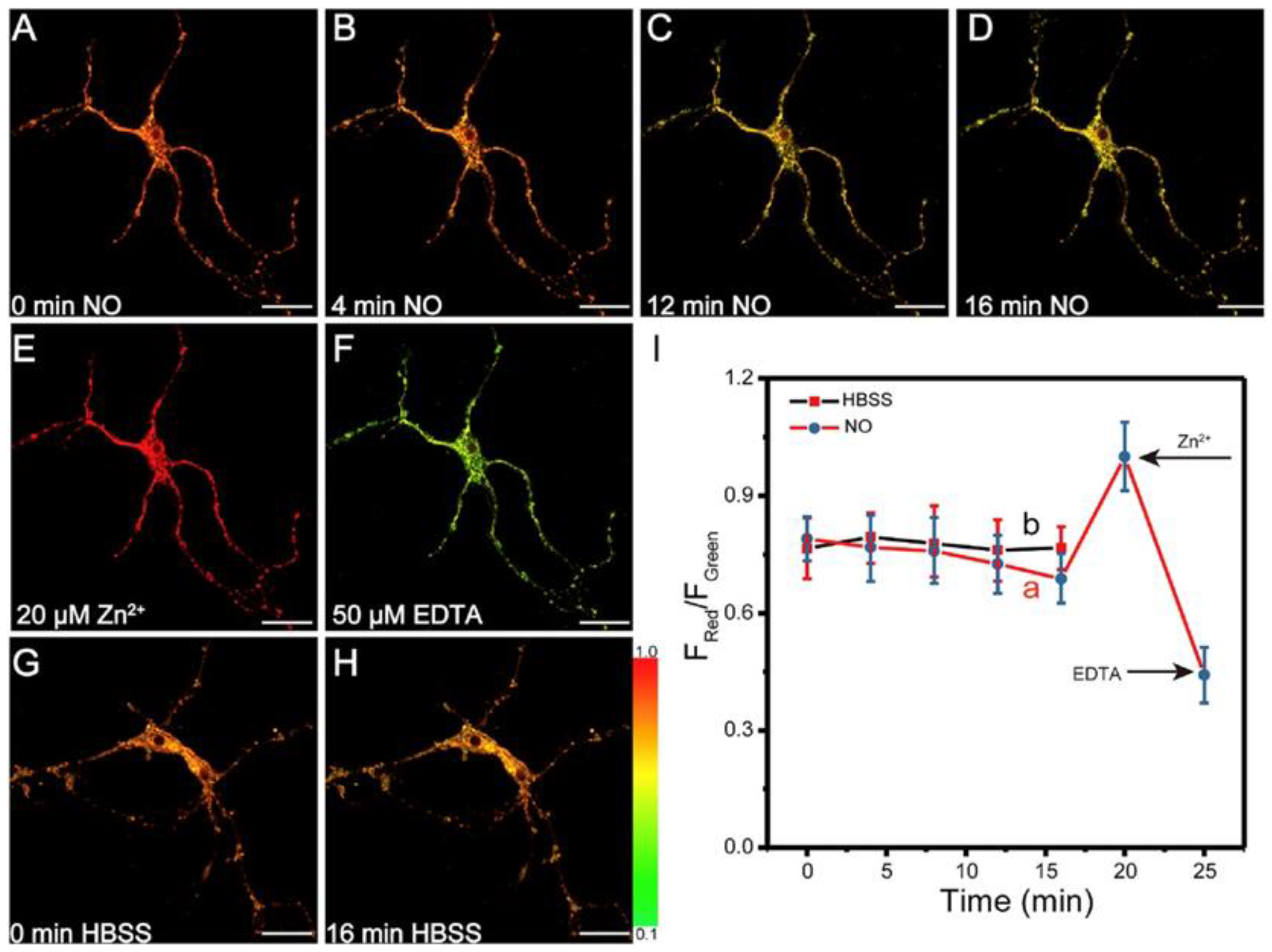 Molecules 29 02542 g015