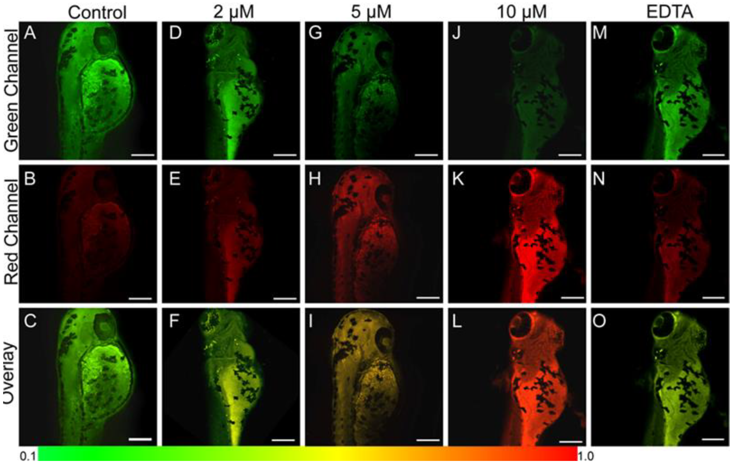 Molecules 29 02542 g016