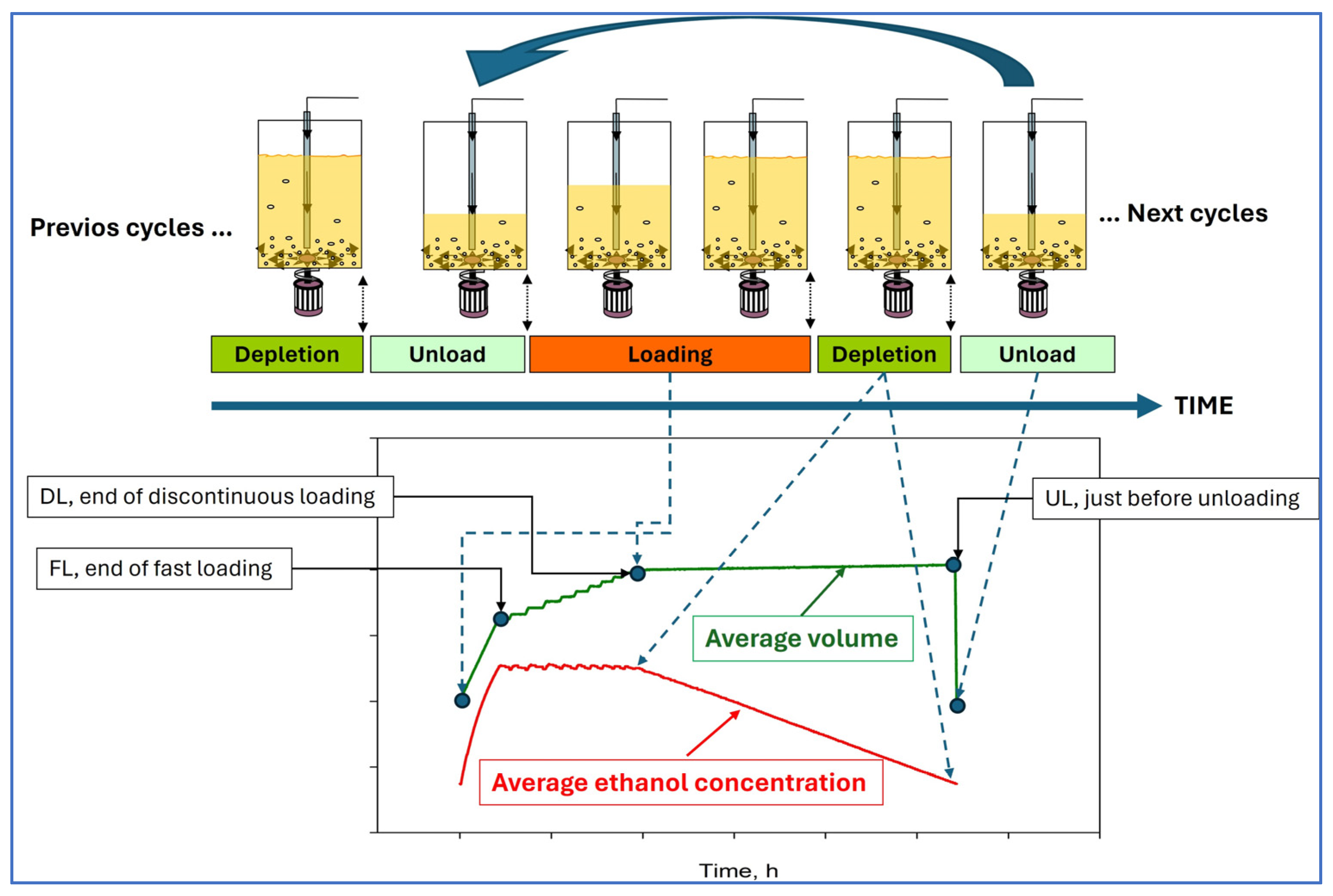Molecules 29 02548 g004