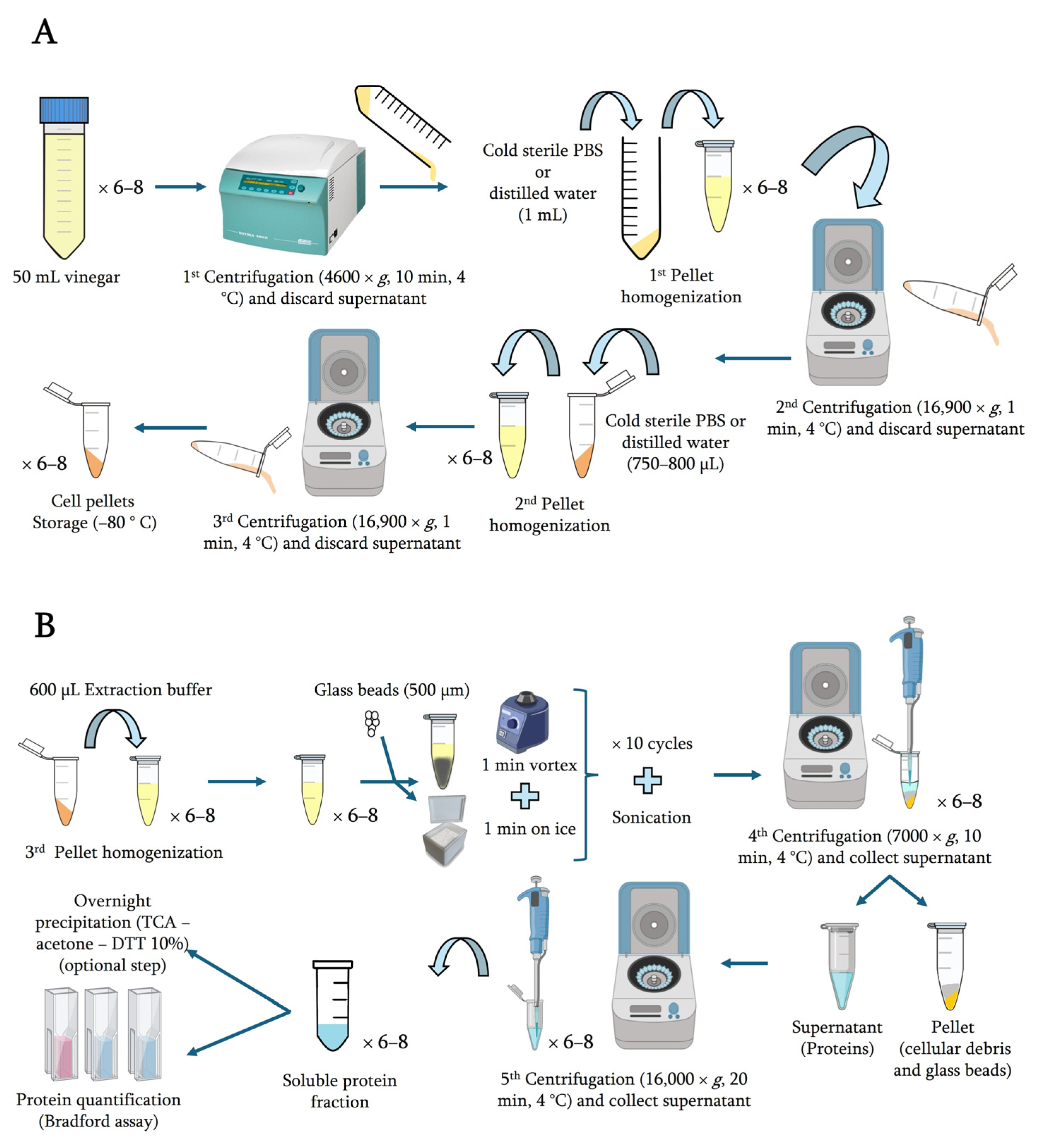 Molecules 29 02548 g005