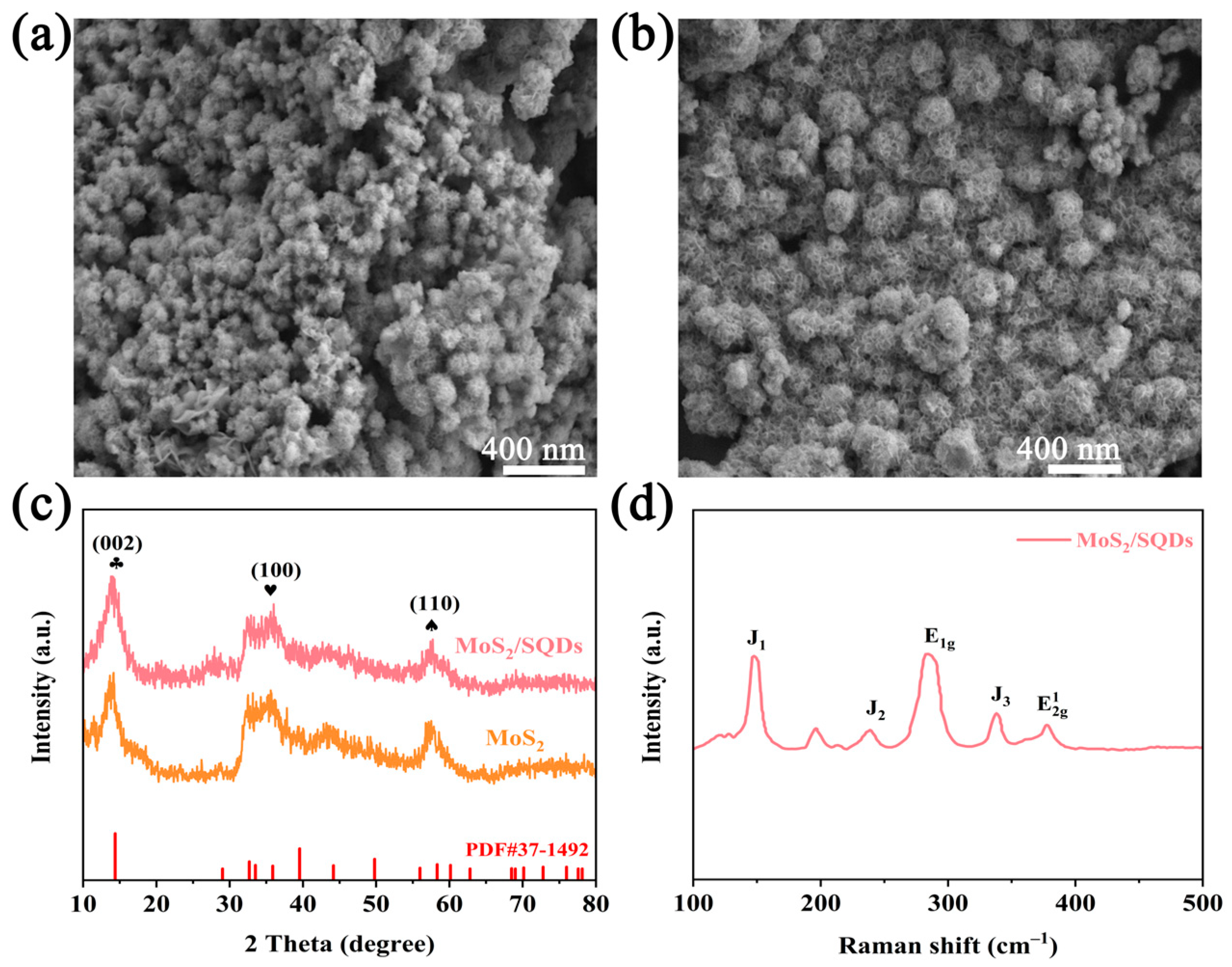 Synthesis and Electrocatalytic Performance Study of Sulfur