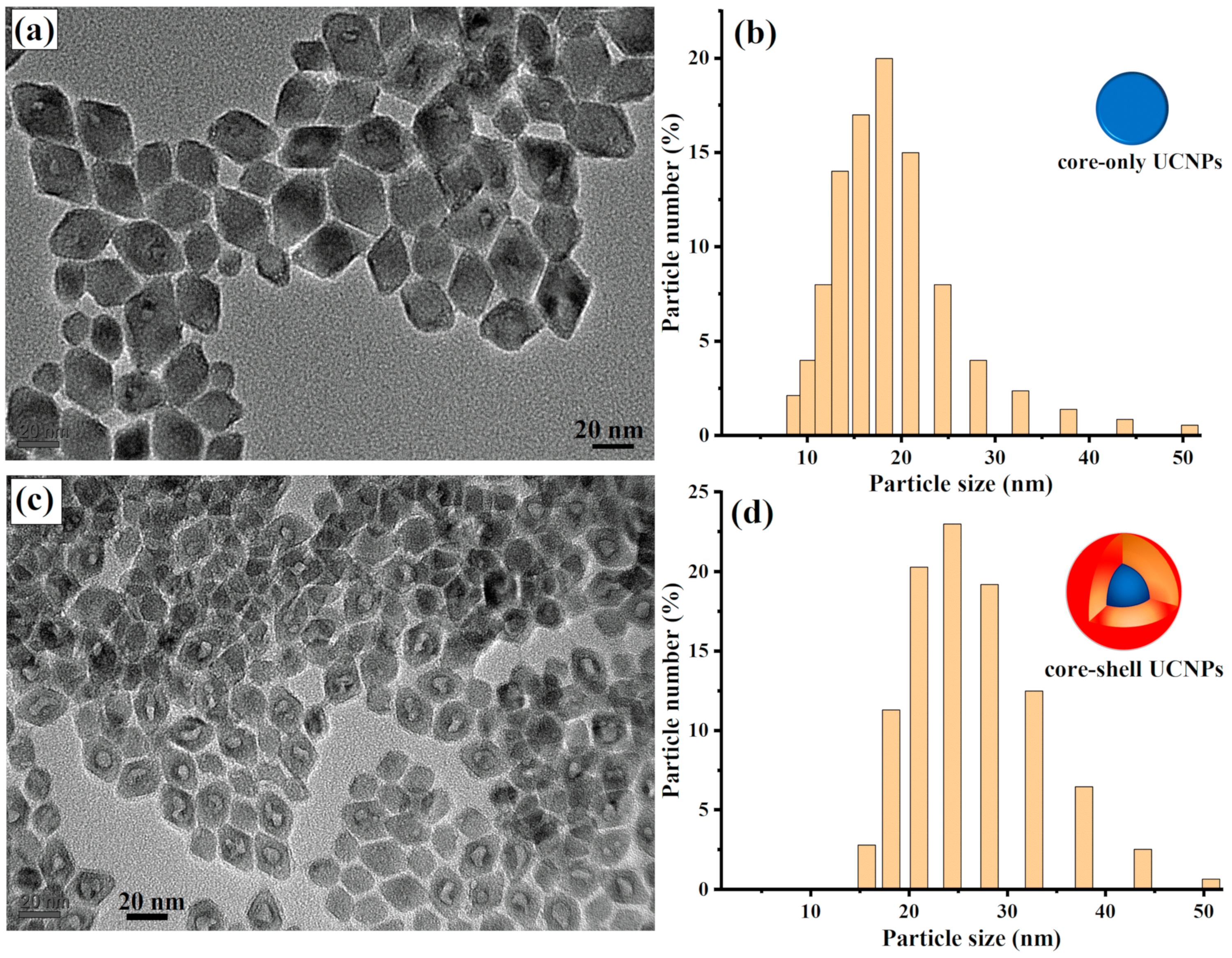 Molecules 29 02556 g001