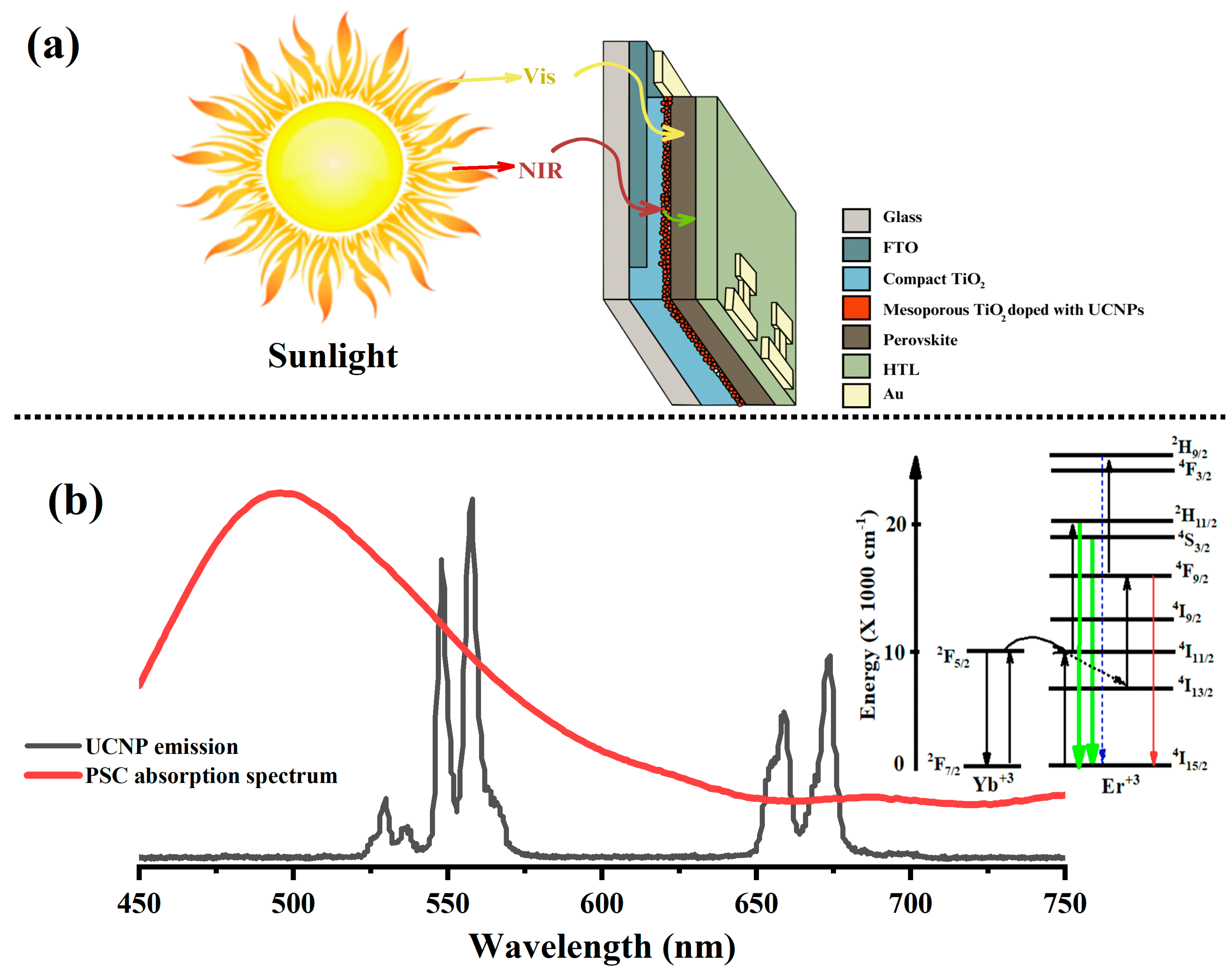 Molecules 29 02556 g002