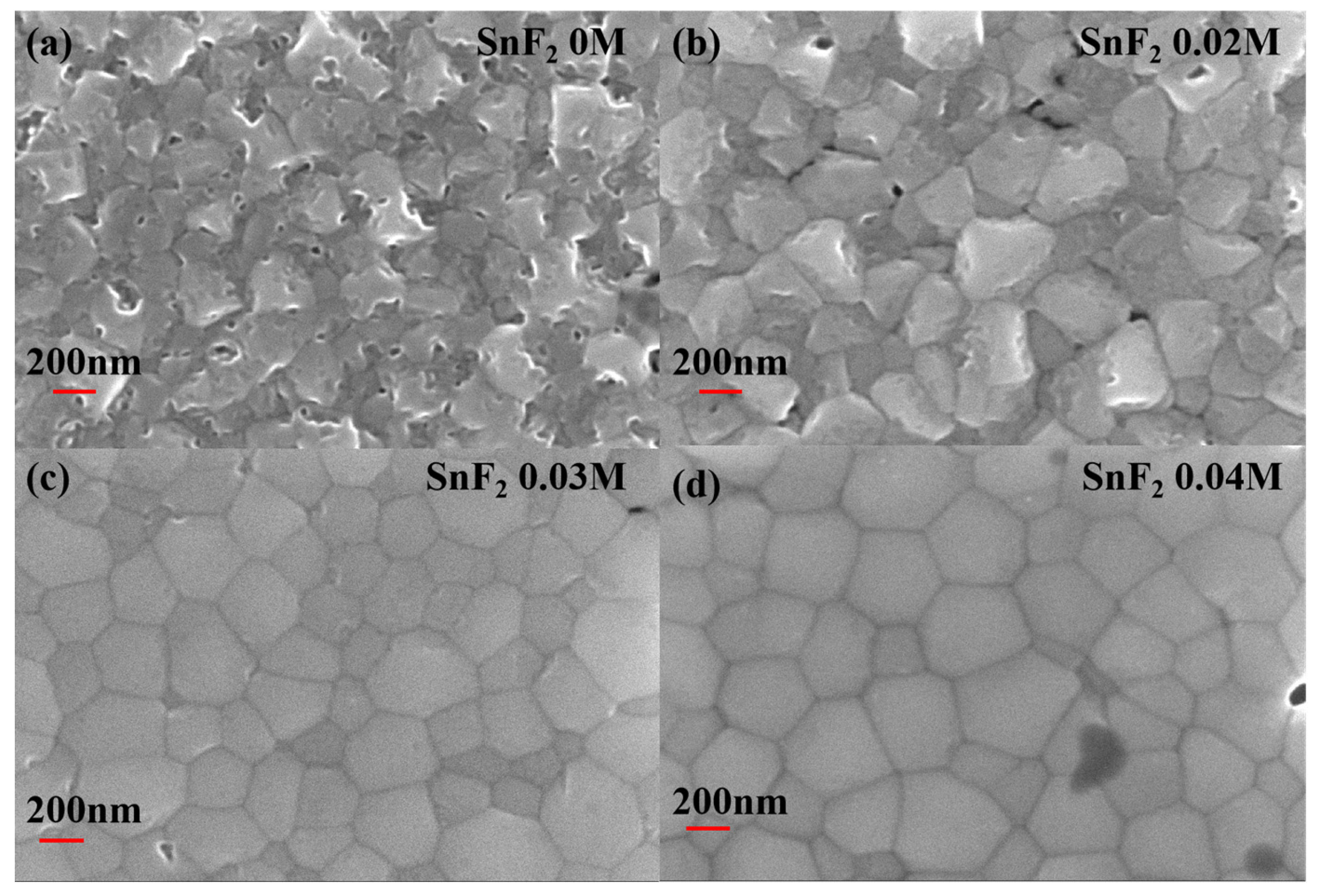 Molecules 29 02557 g001