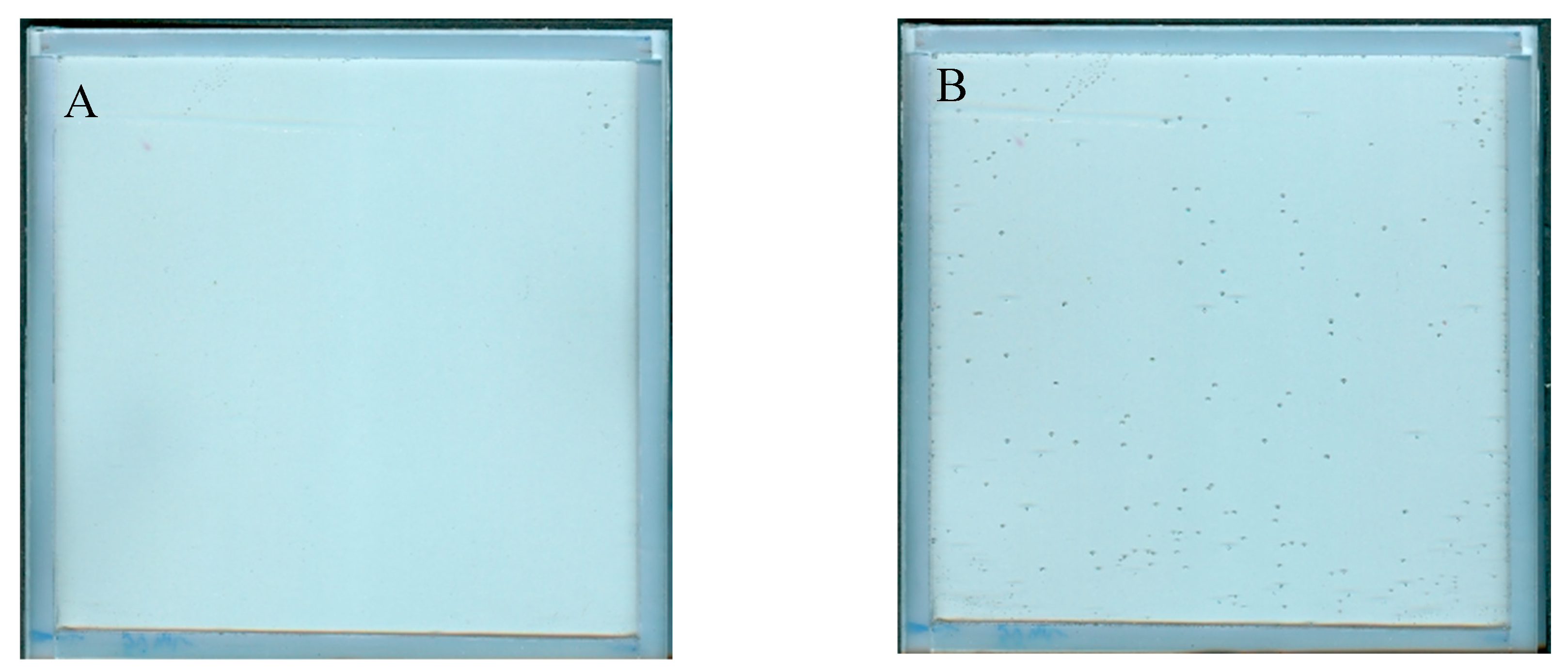 Molecules 29 02558 g003a