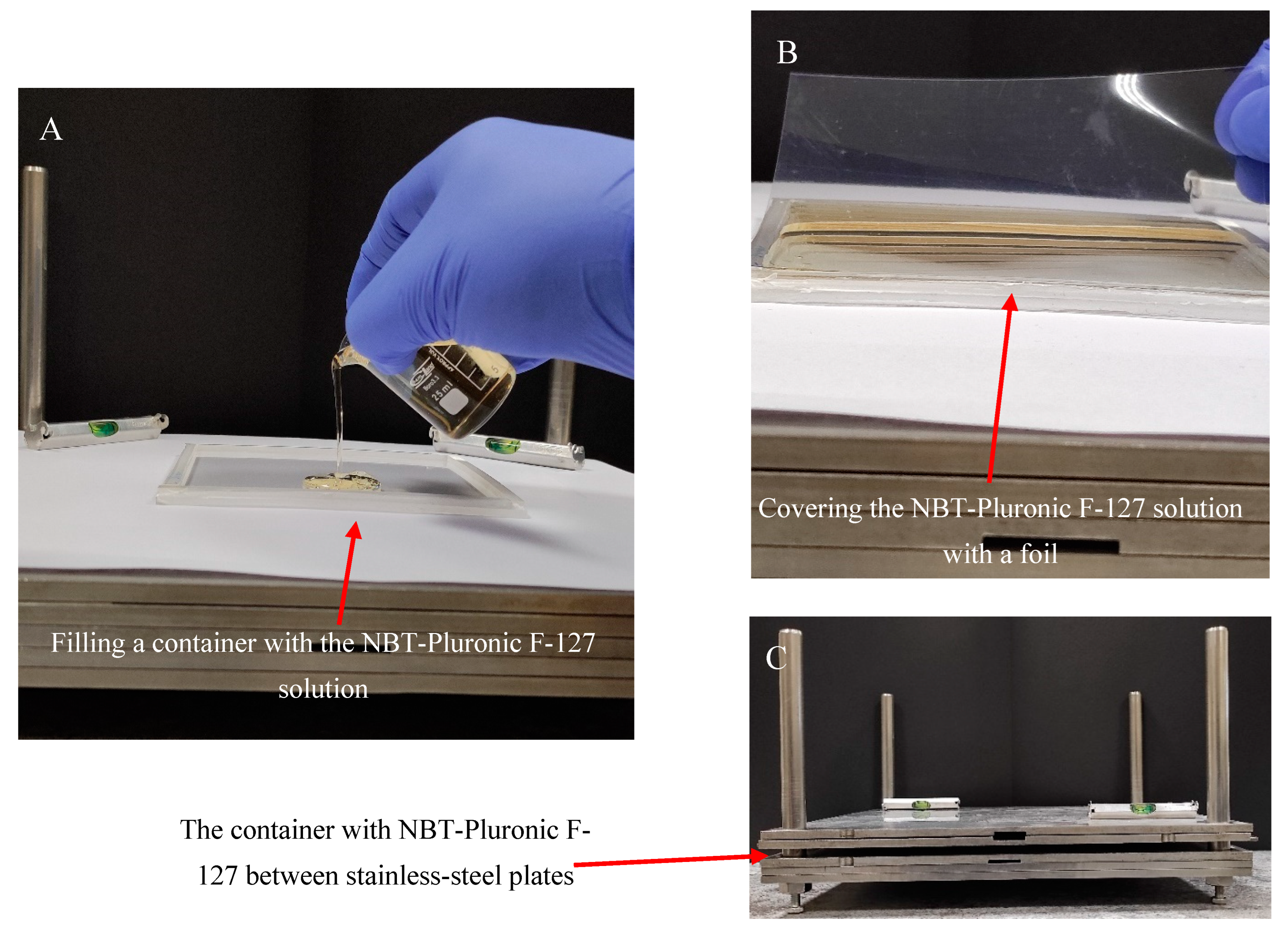 Molecules 29 02558 g009