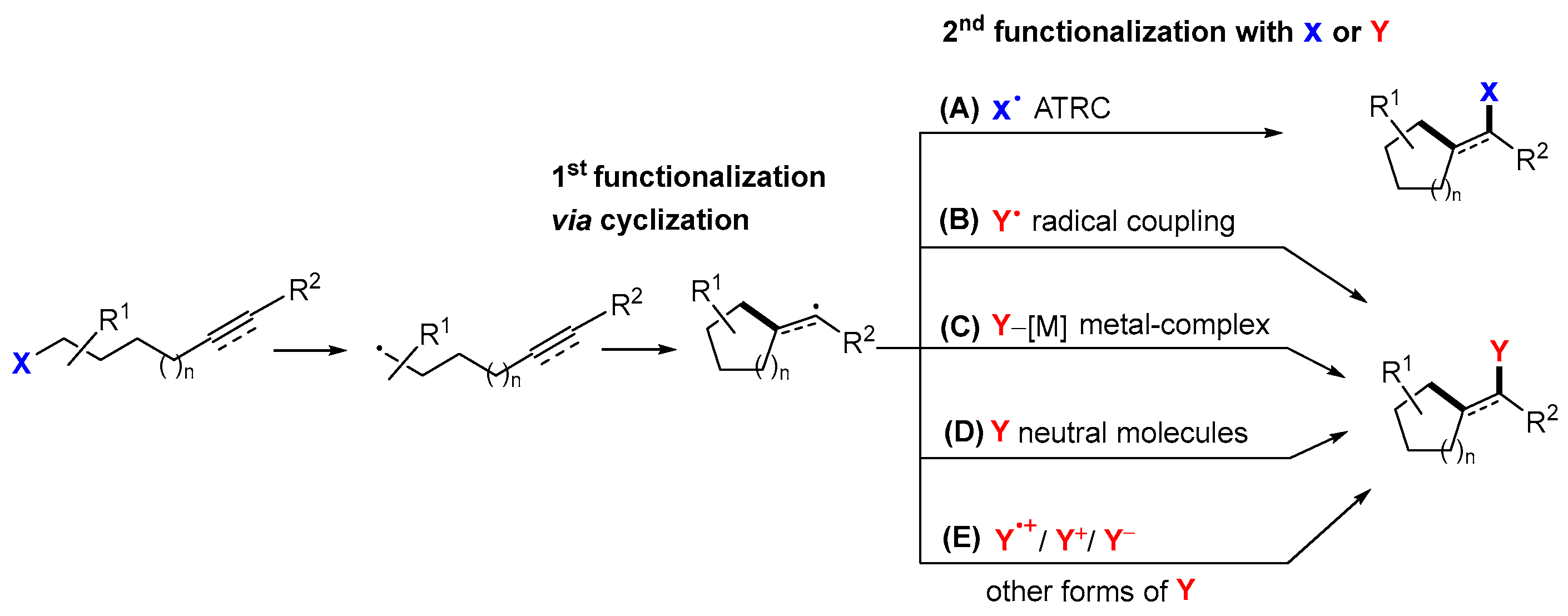 Molecules 29 02559 sch002