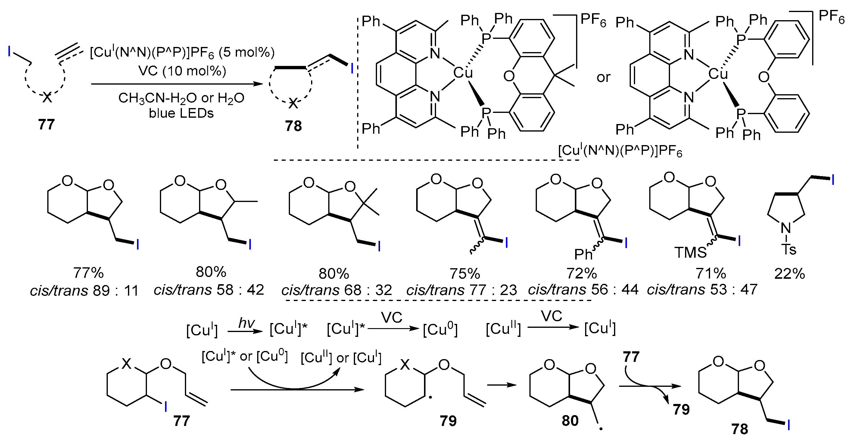 Molecules 29 02559 sch021