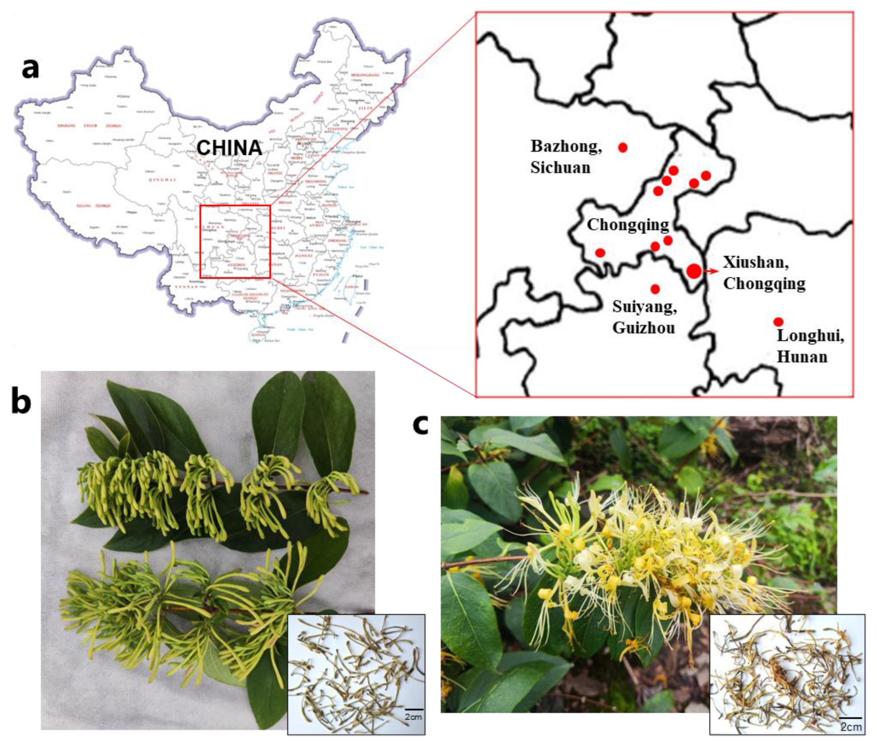 Molecules 29 02560 g001