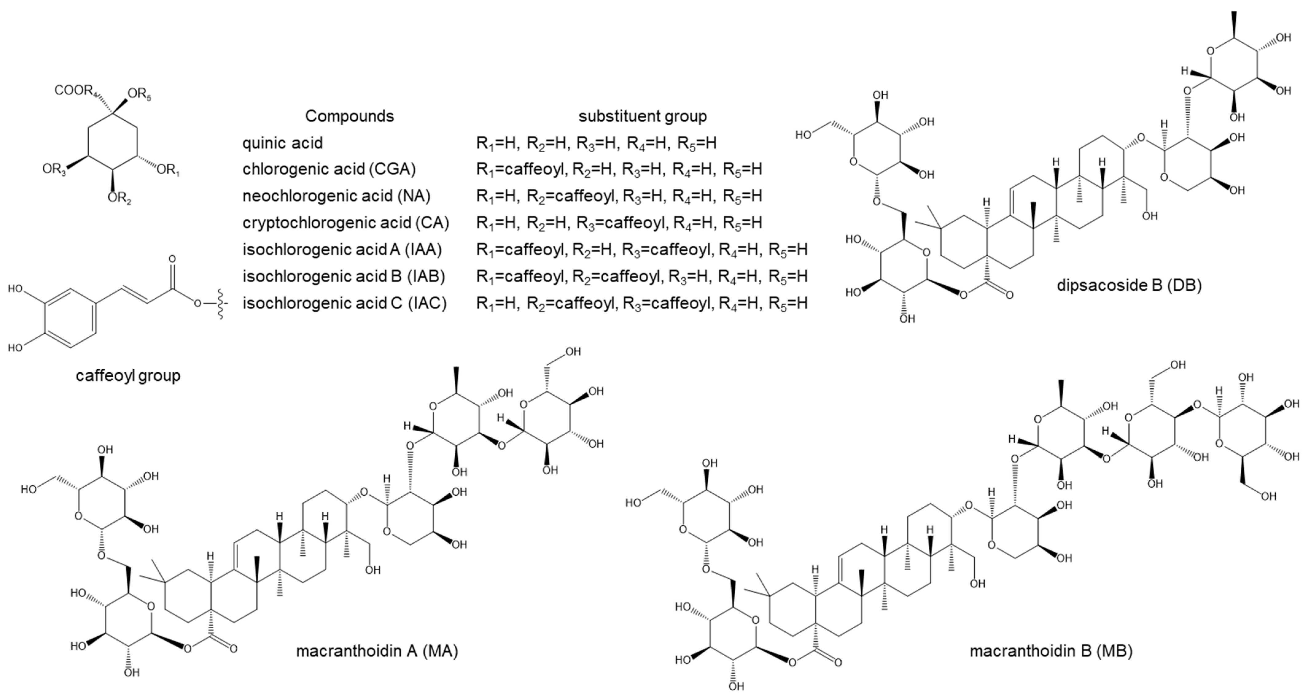 Molecules 29 02560 g002