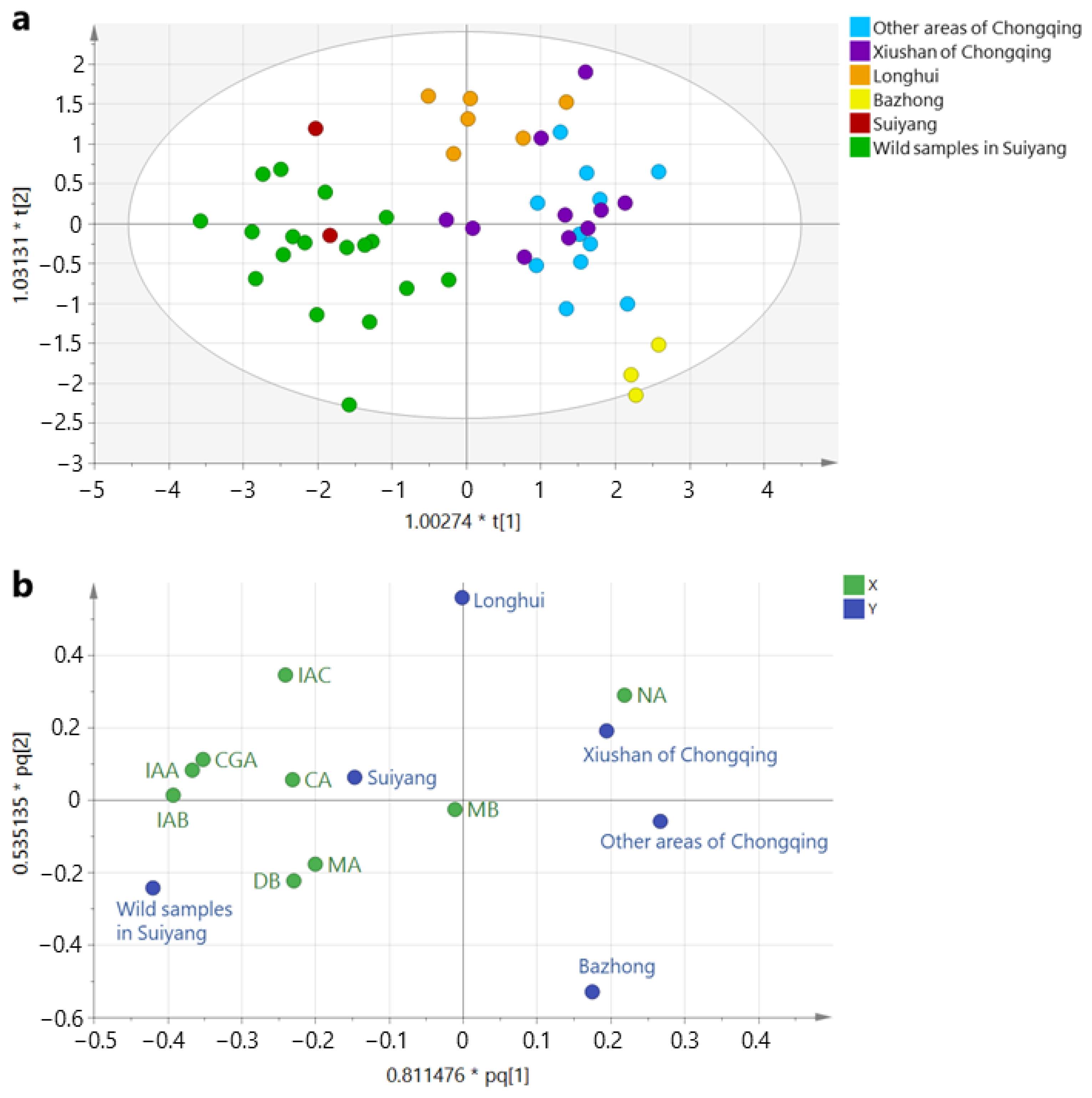 Molecules 29 02560 g005