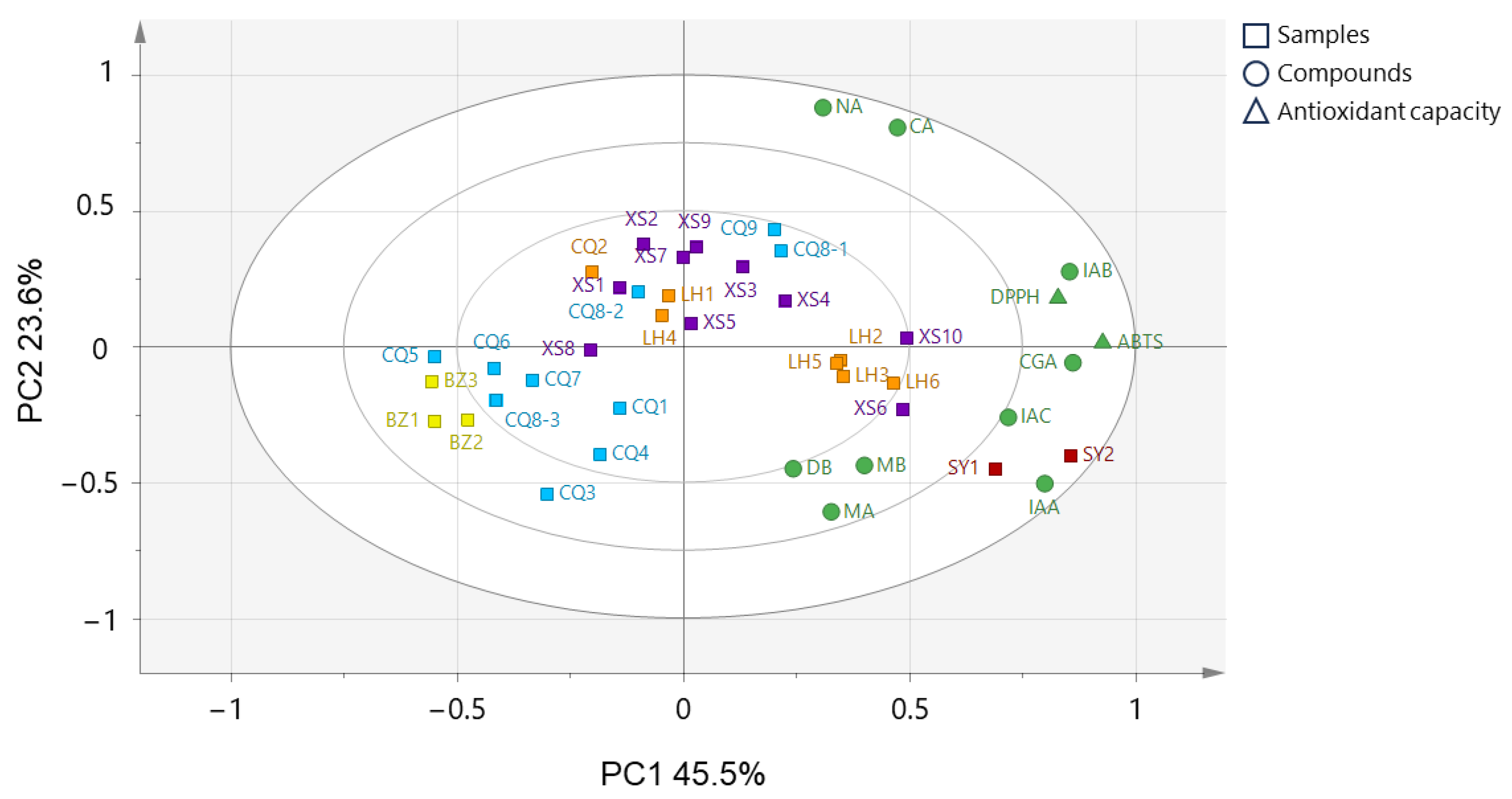 Molecules 29 02560 g006
