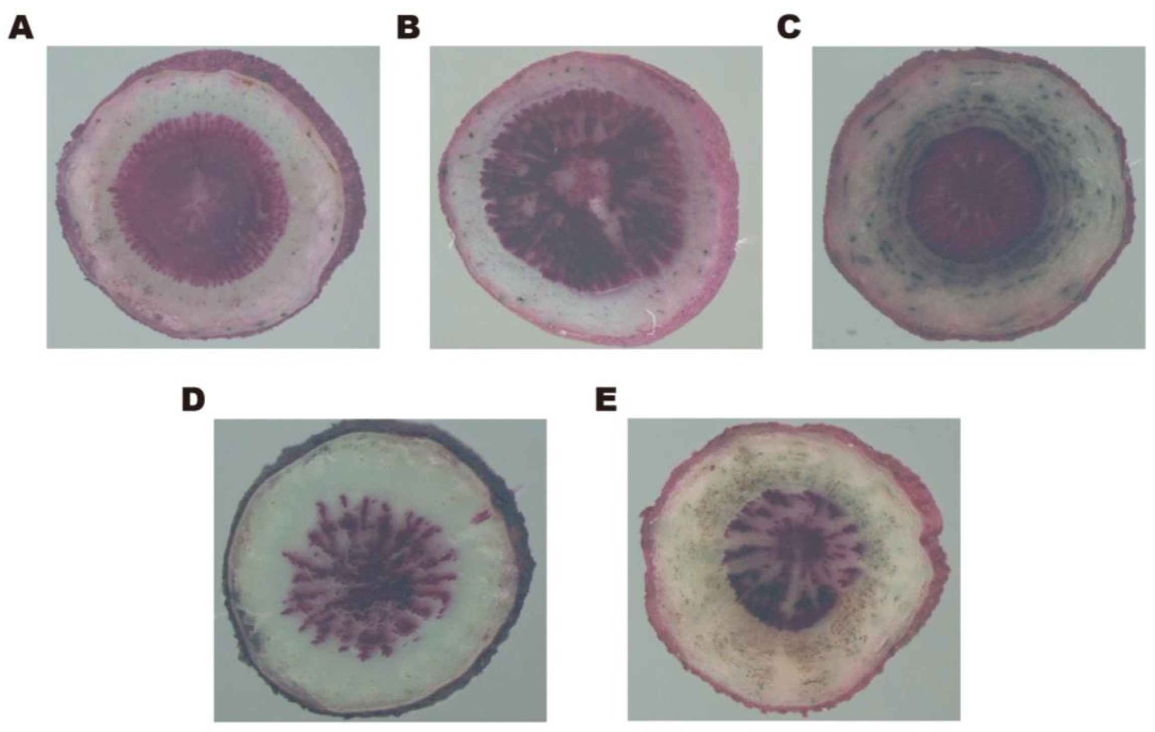 Molecules 29 02561 g007