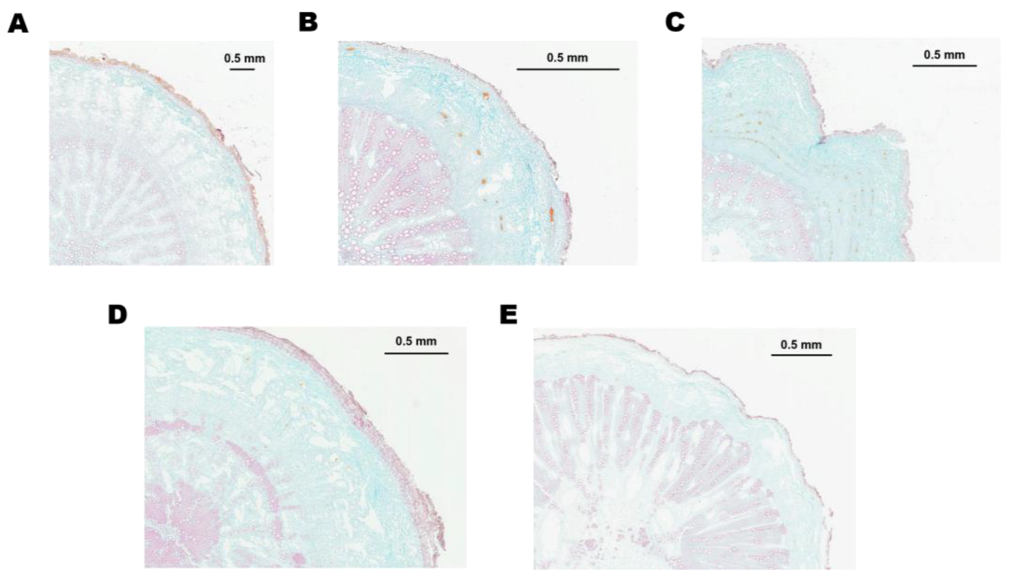 Molecules 29 02561 g008