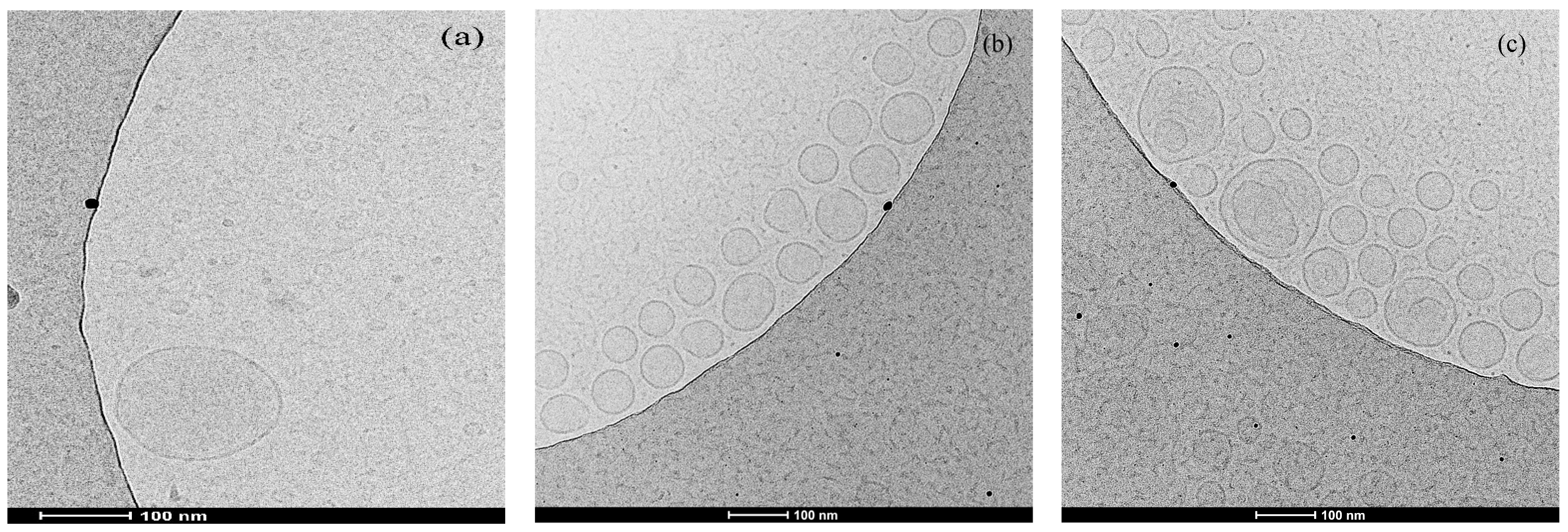Molecules 29 02570 g008