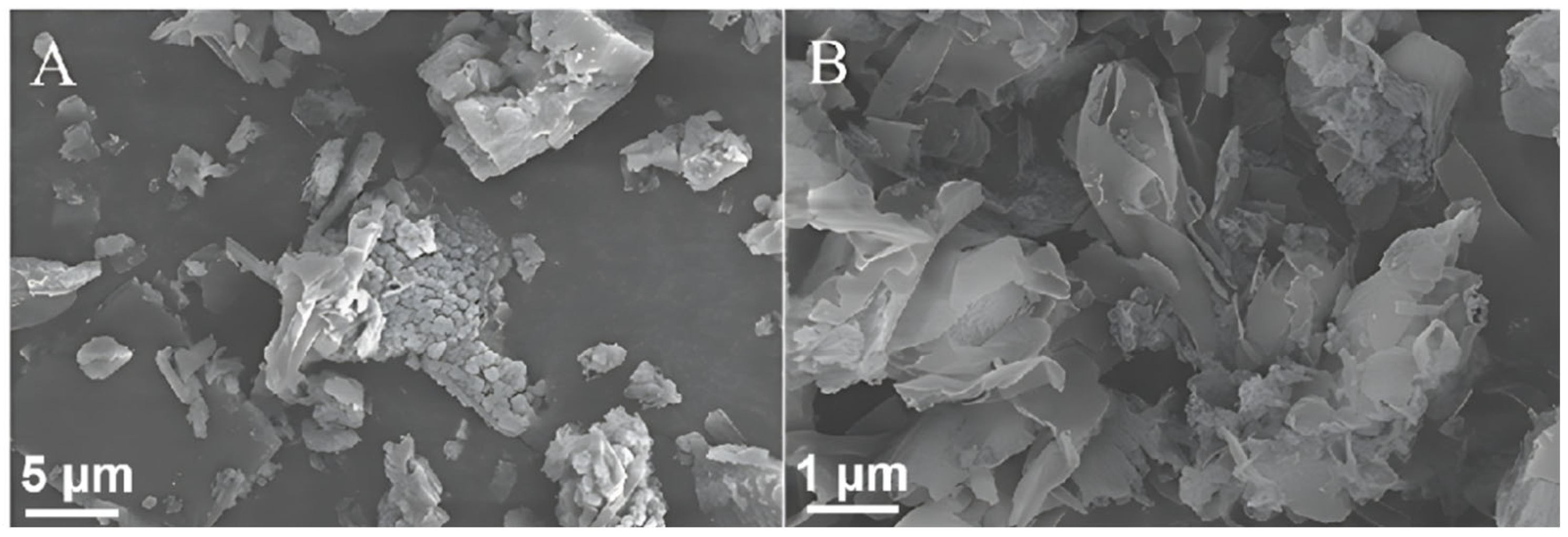 Molecules 29 02571 g002