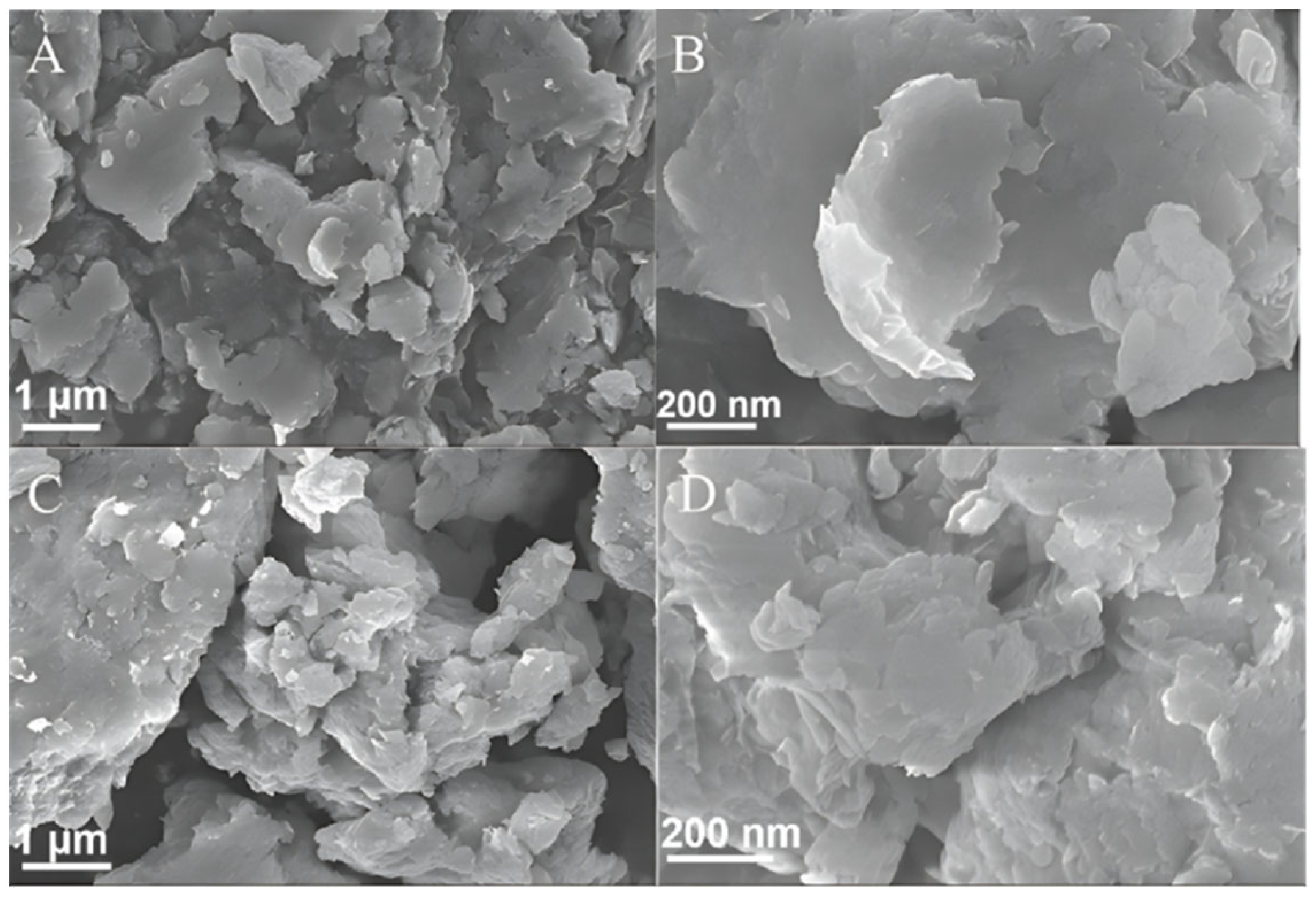Molecules 29 02571 g004
