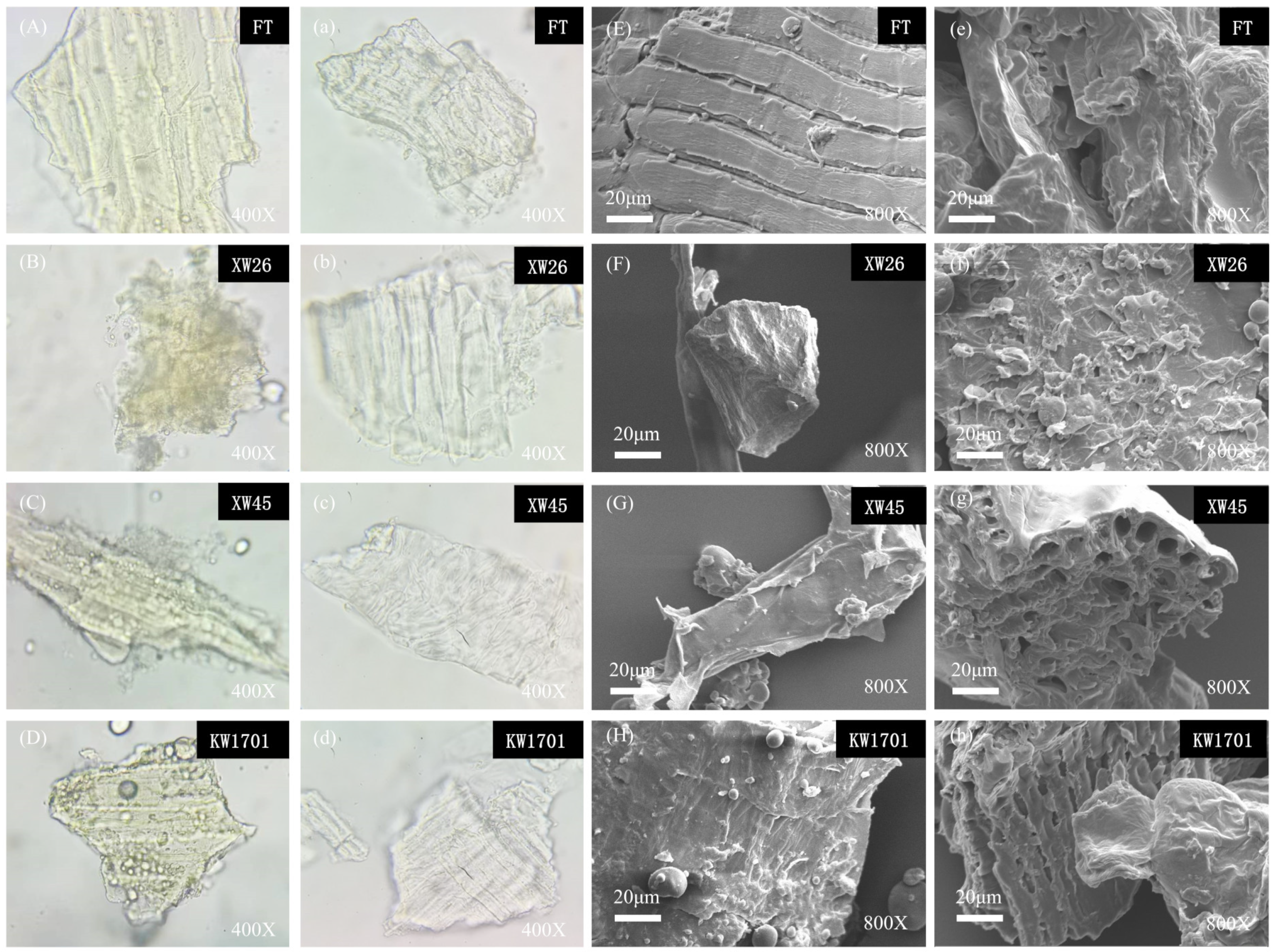 Molecules 29 02581 g001