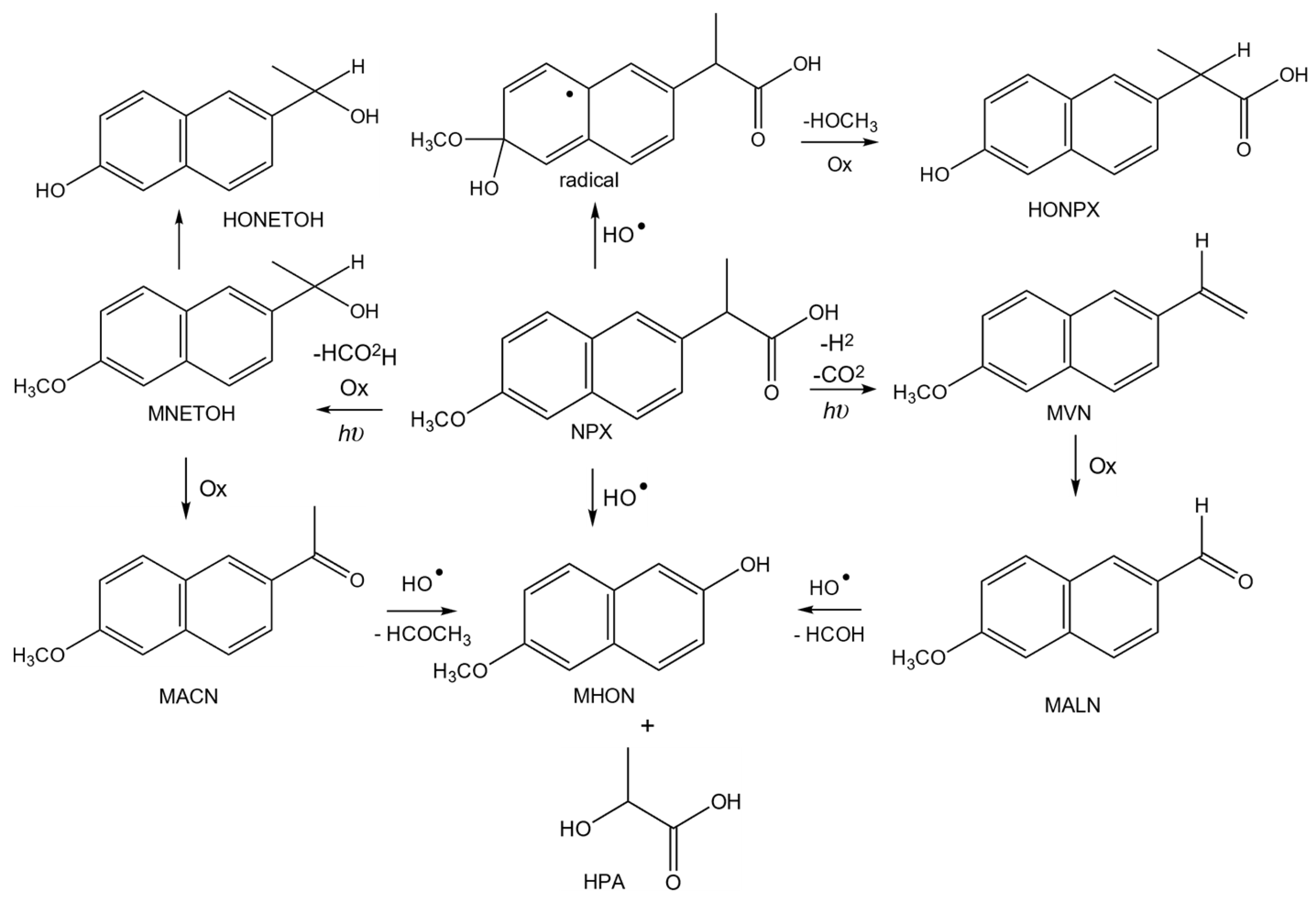 Molecules 29 02583 sch002