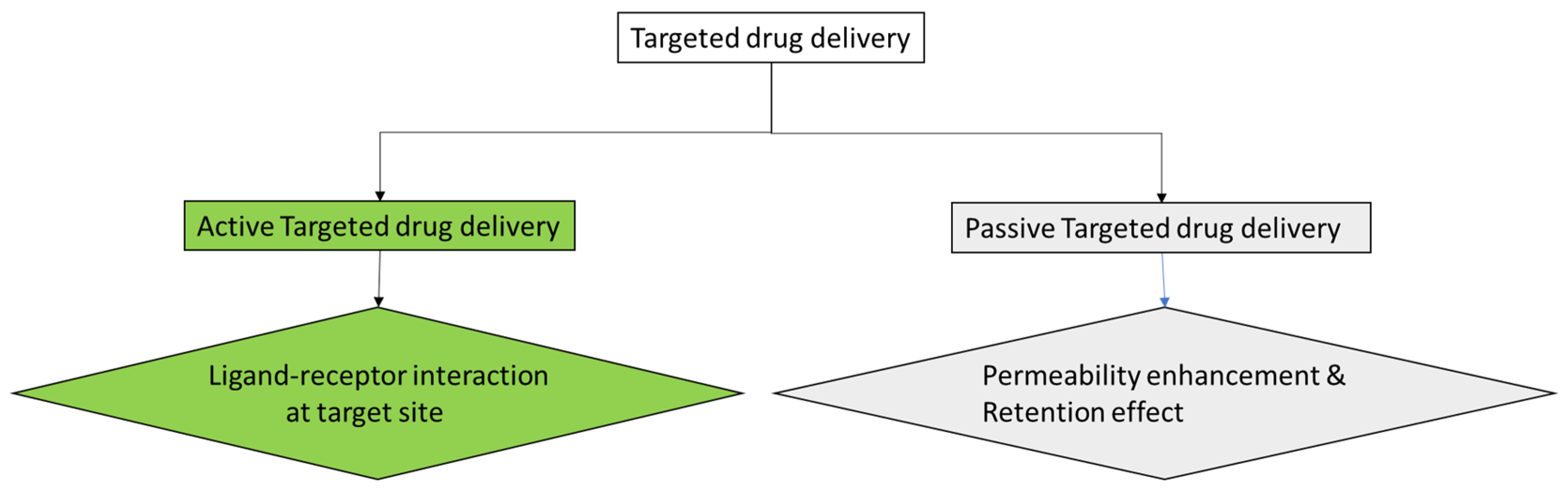 Molecules 29 02584 g001 Molecules 29 02584 g001