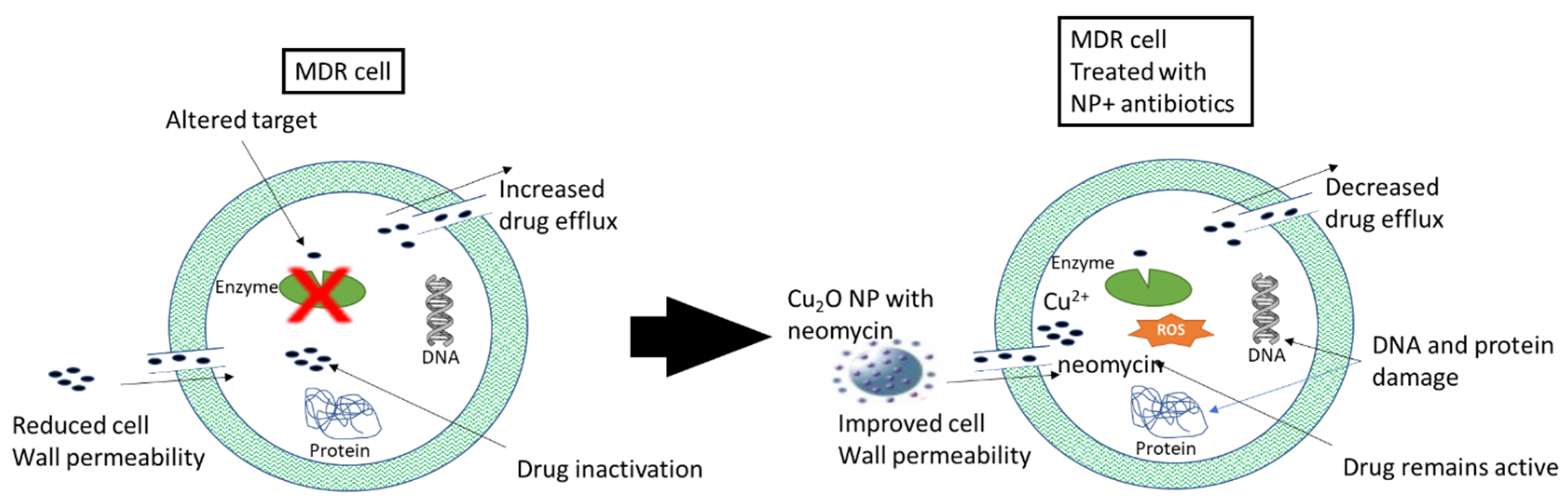 Molecules 29 02584 g004 Molecules 29 02584 g004
