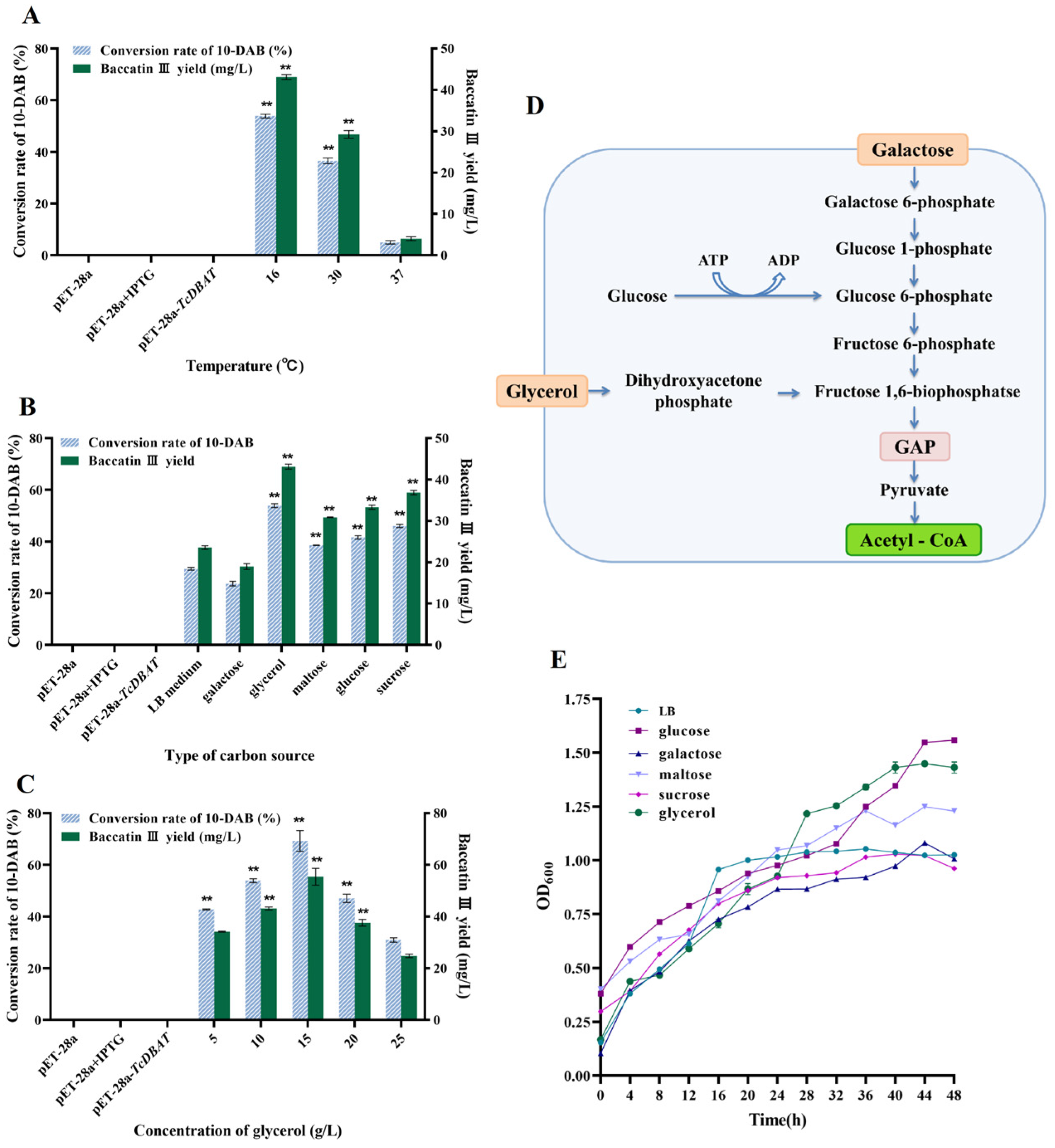 Molecules 29 02586 g002