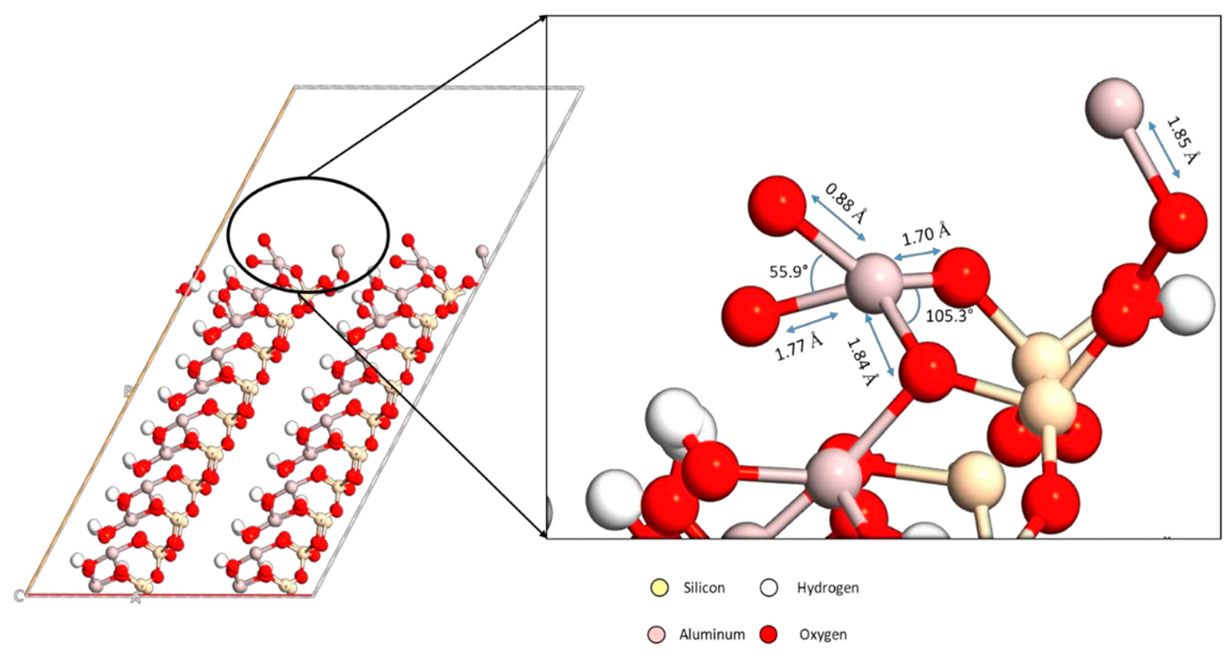 Molecules 29 02589 g006