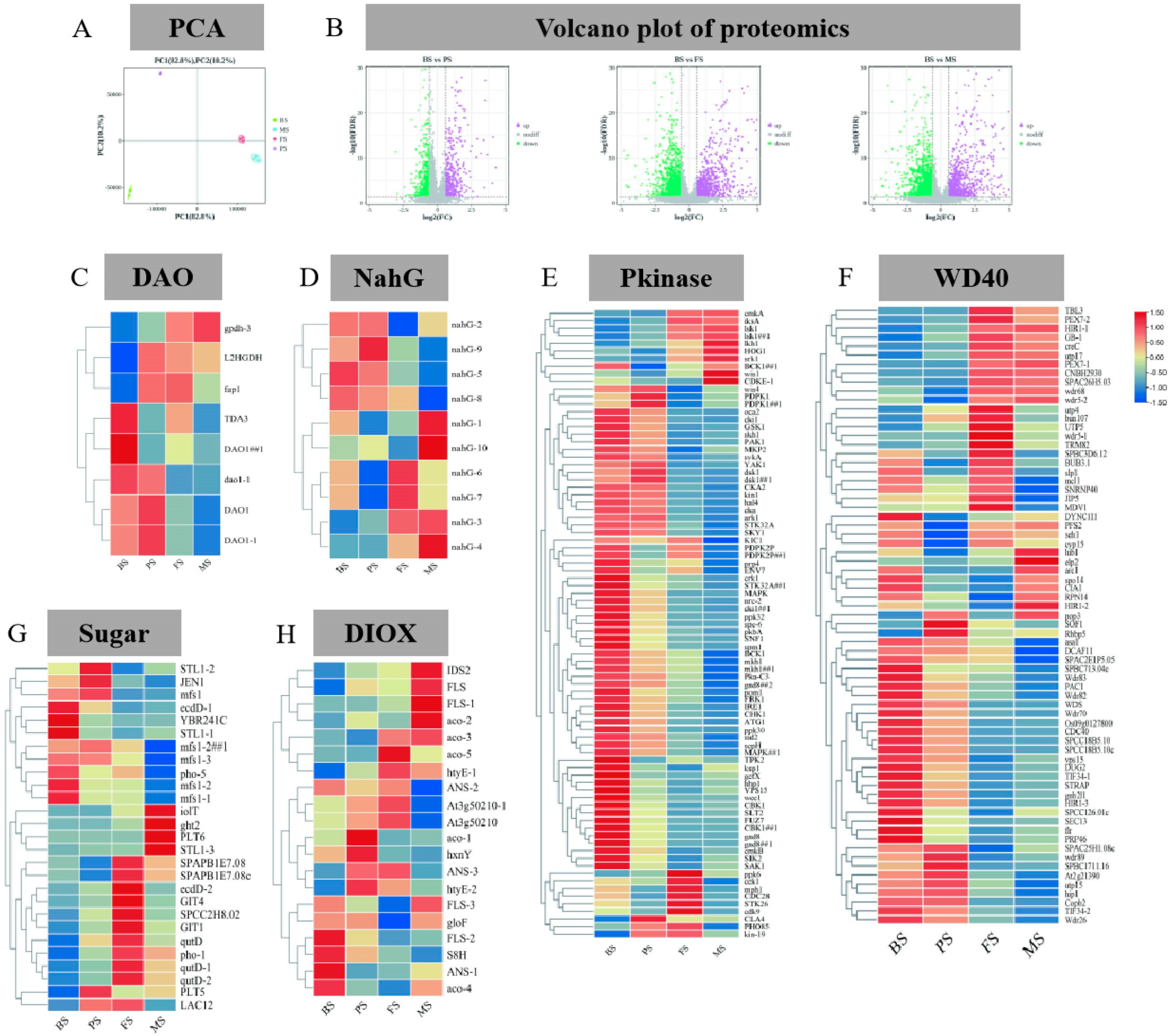 Molecules 29 02591 g006