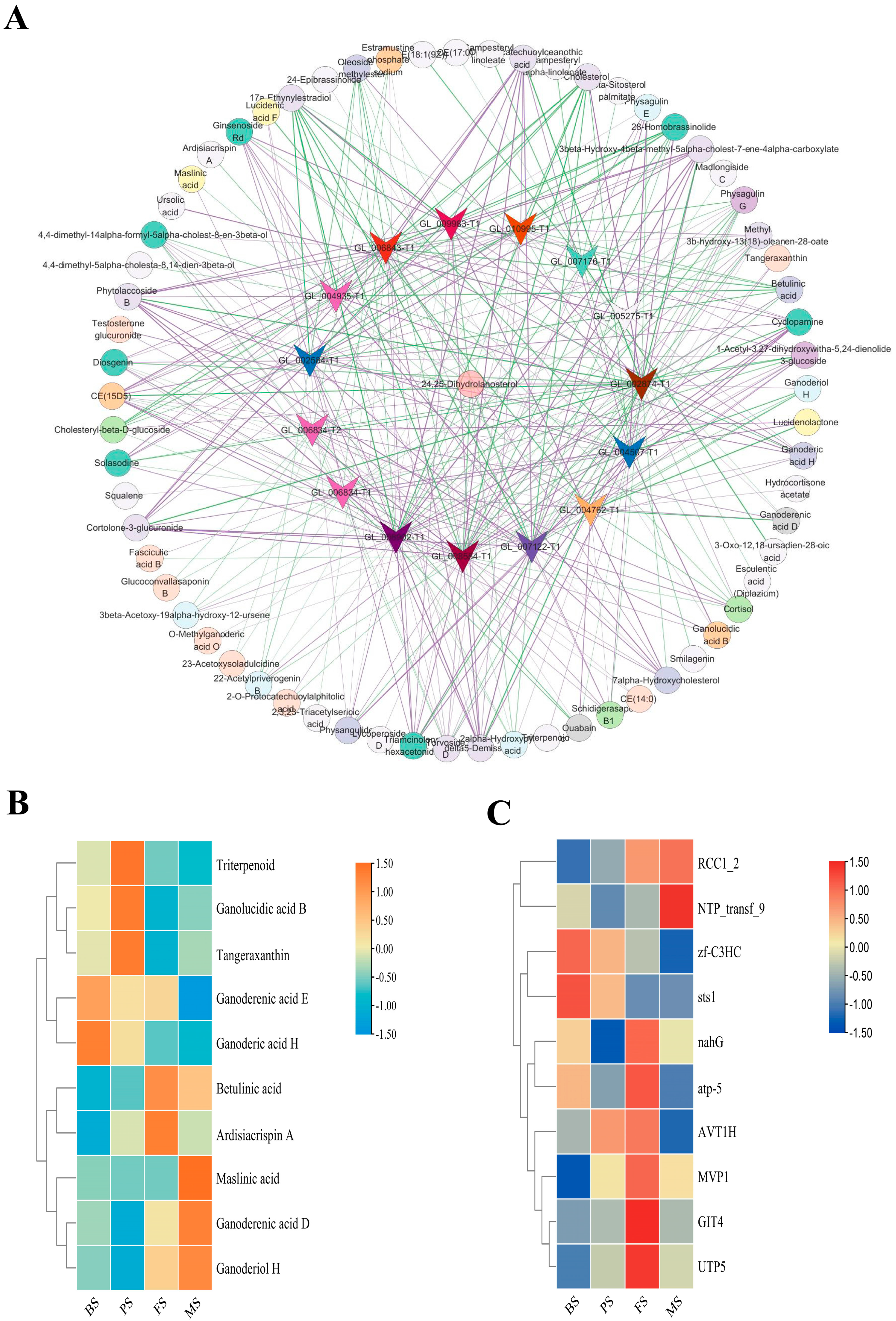 Molecules 29 02591 g010