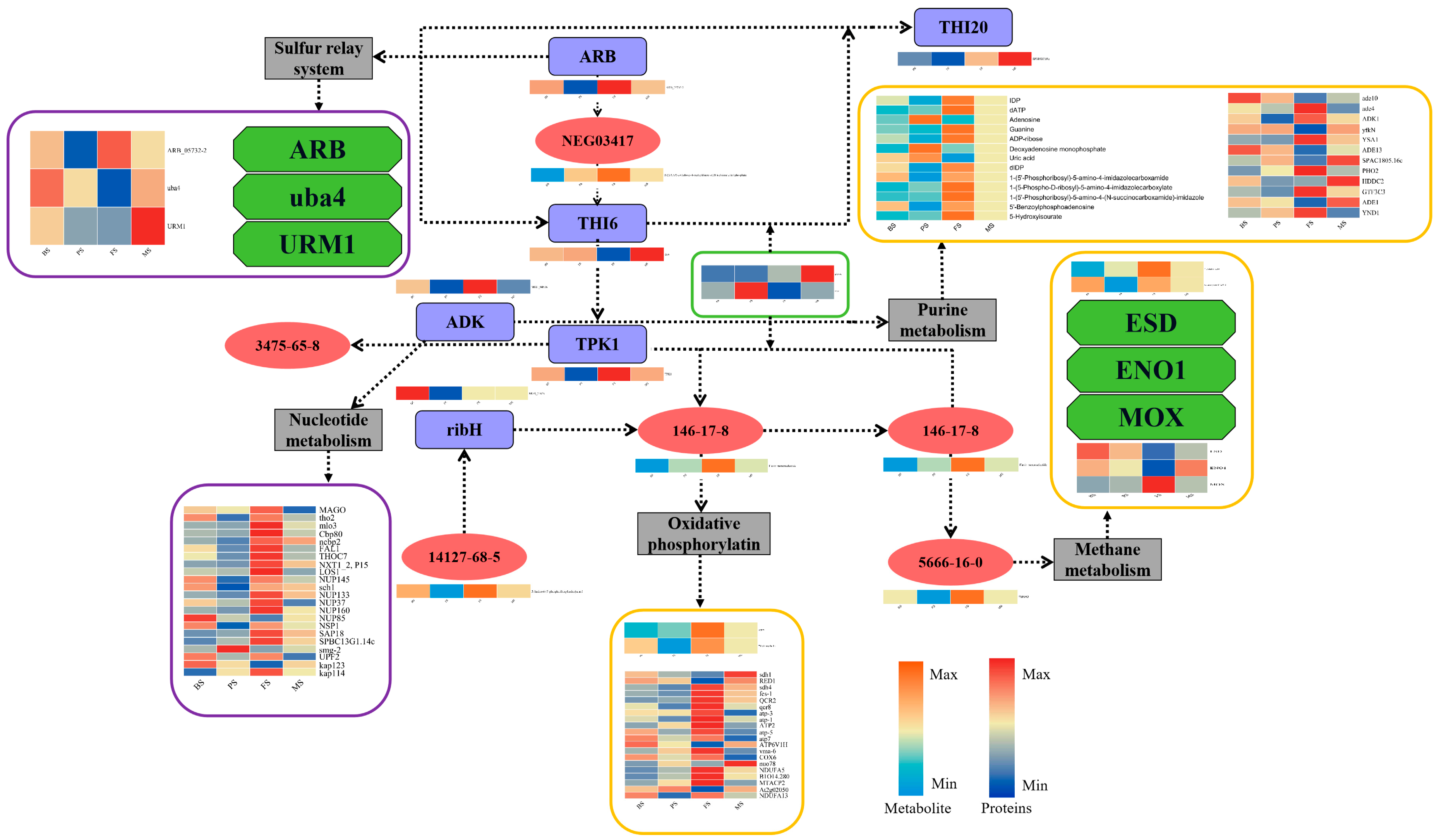 Molecules 29 02591 g011