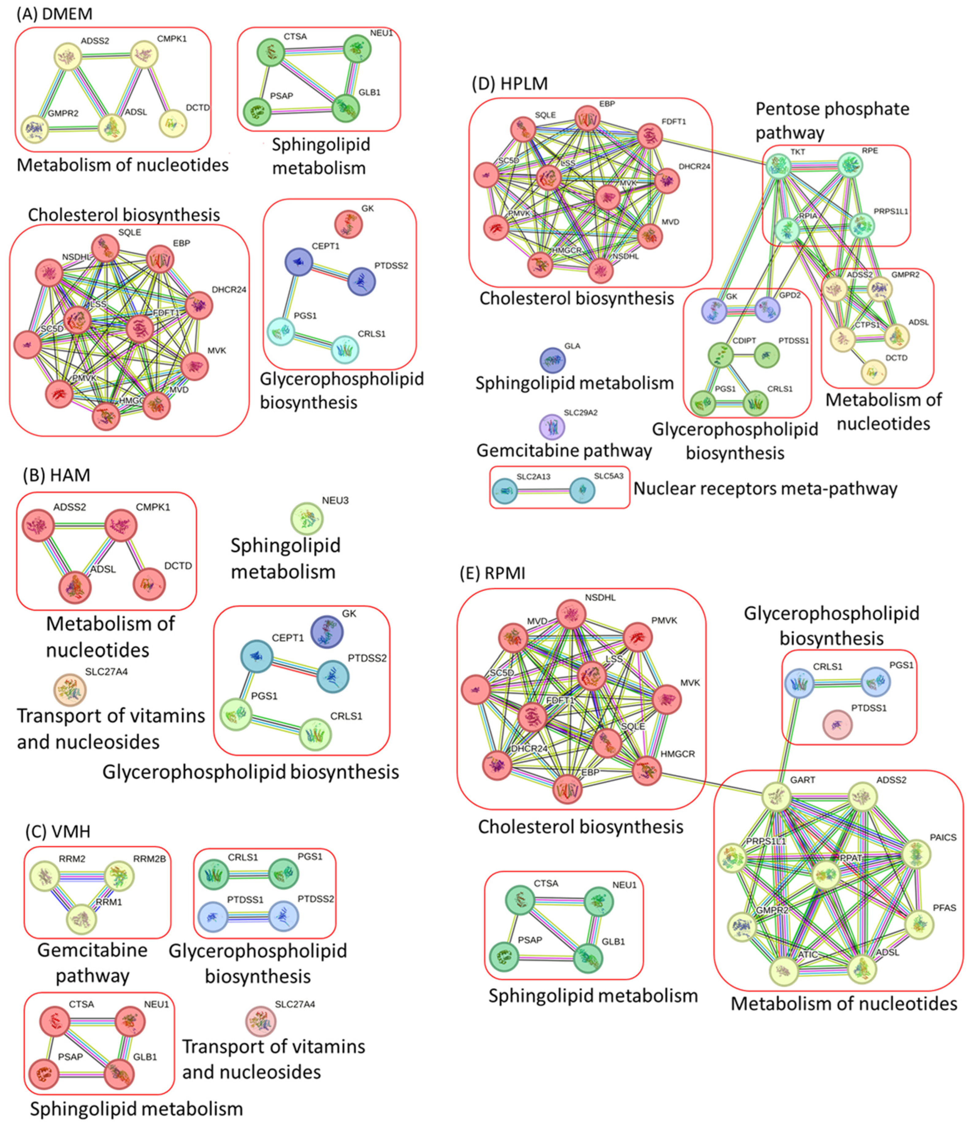 Molecules 29 02594 g001