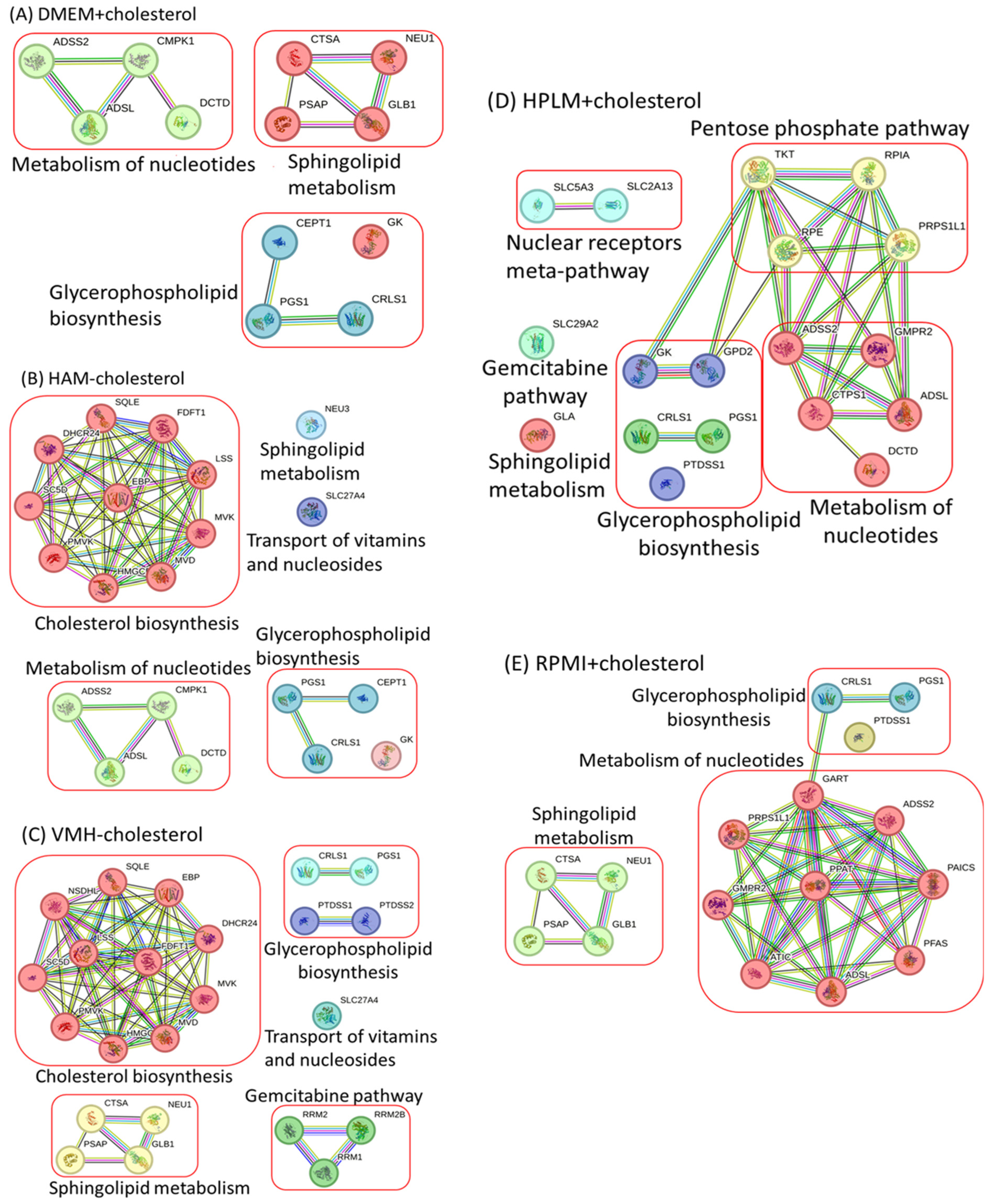 Molecules 29 02594 g002