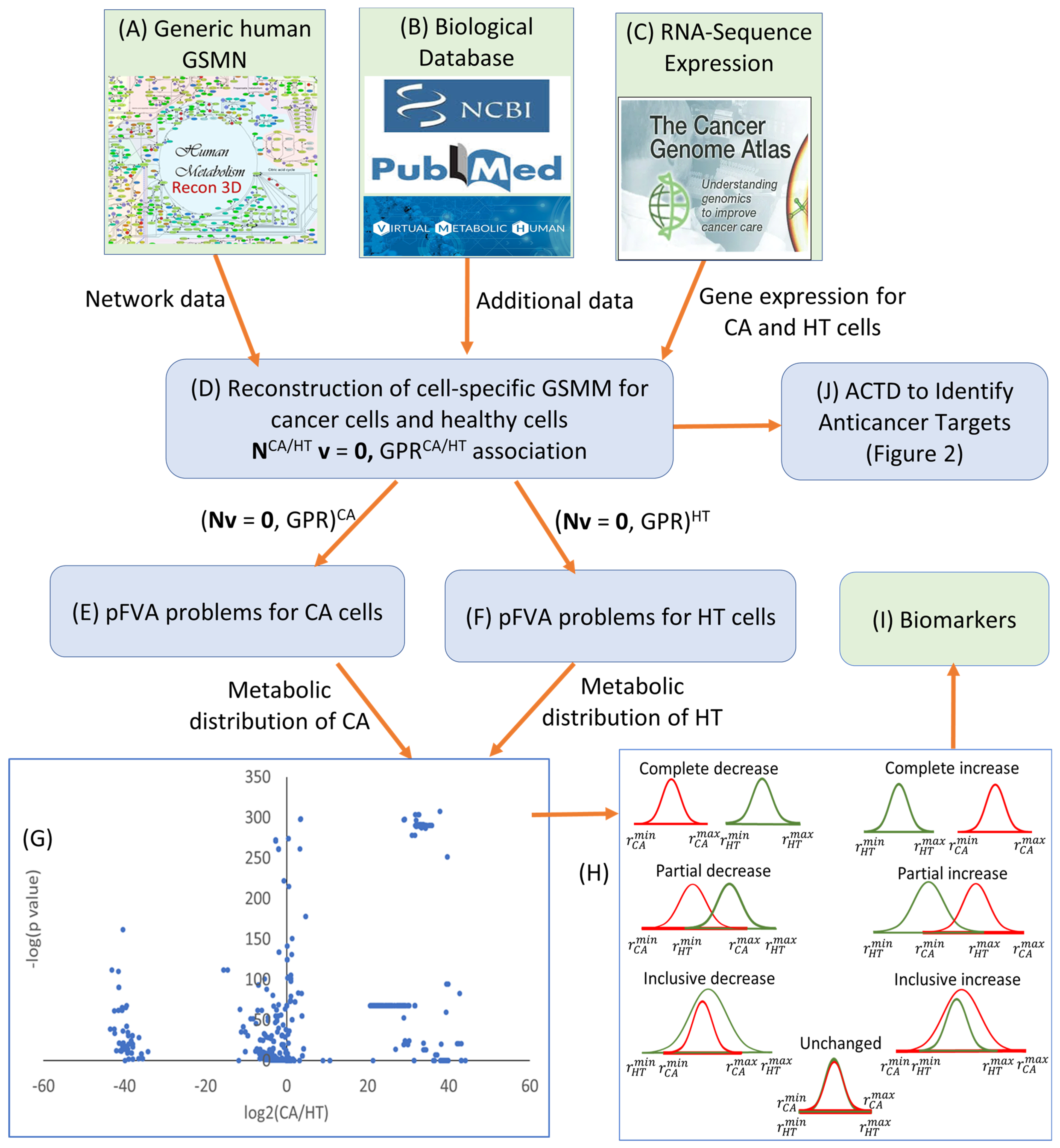 Molecules 29 02594 g005