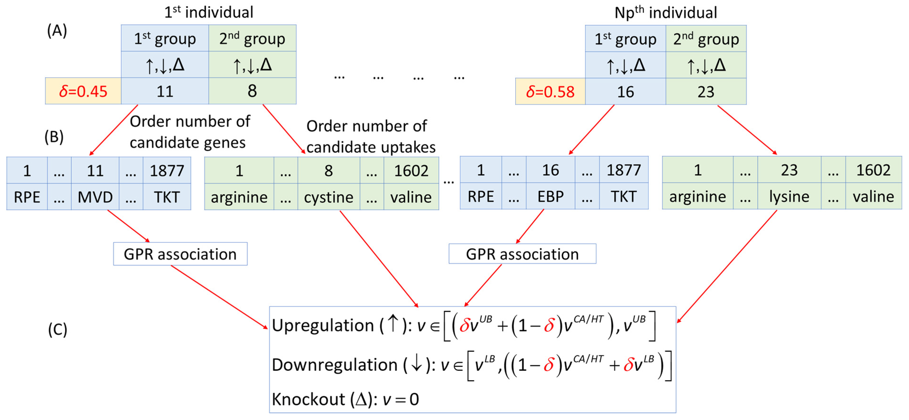 Molecules 29 02594 g008