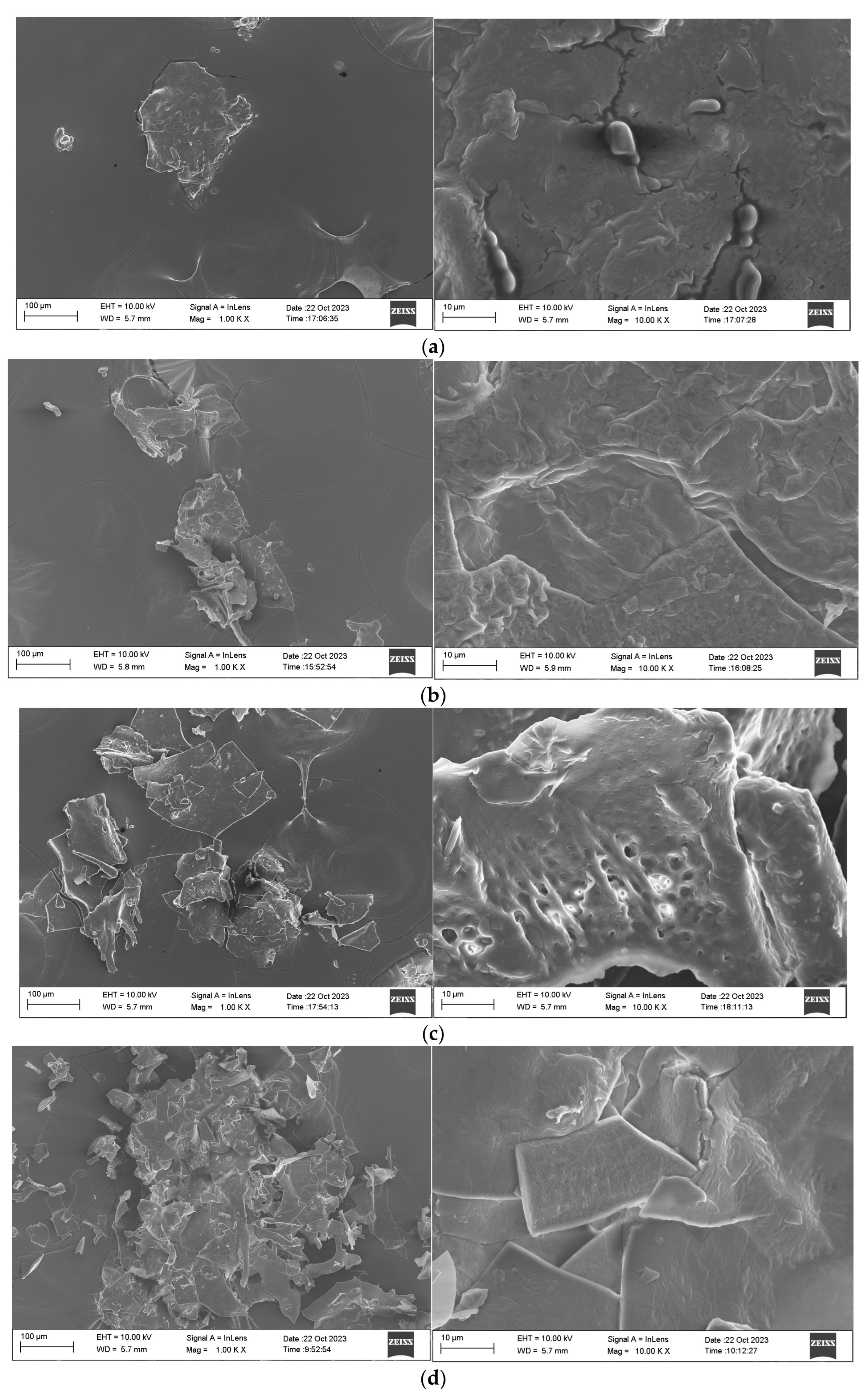 Molecules 29 02595 g006