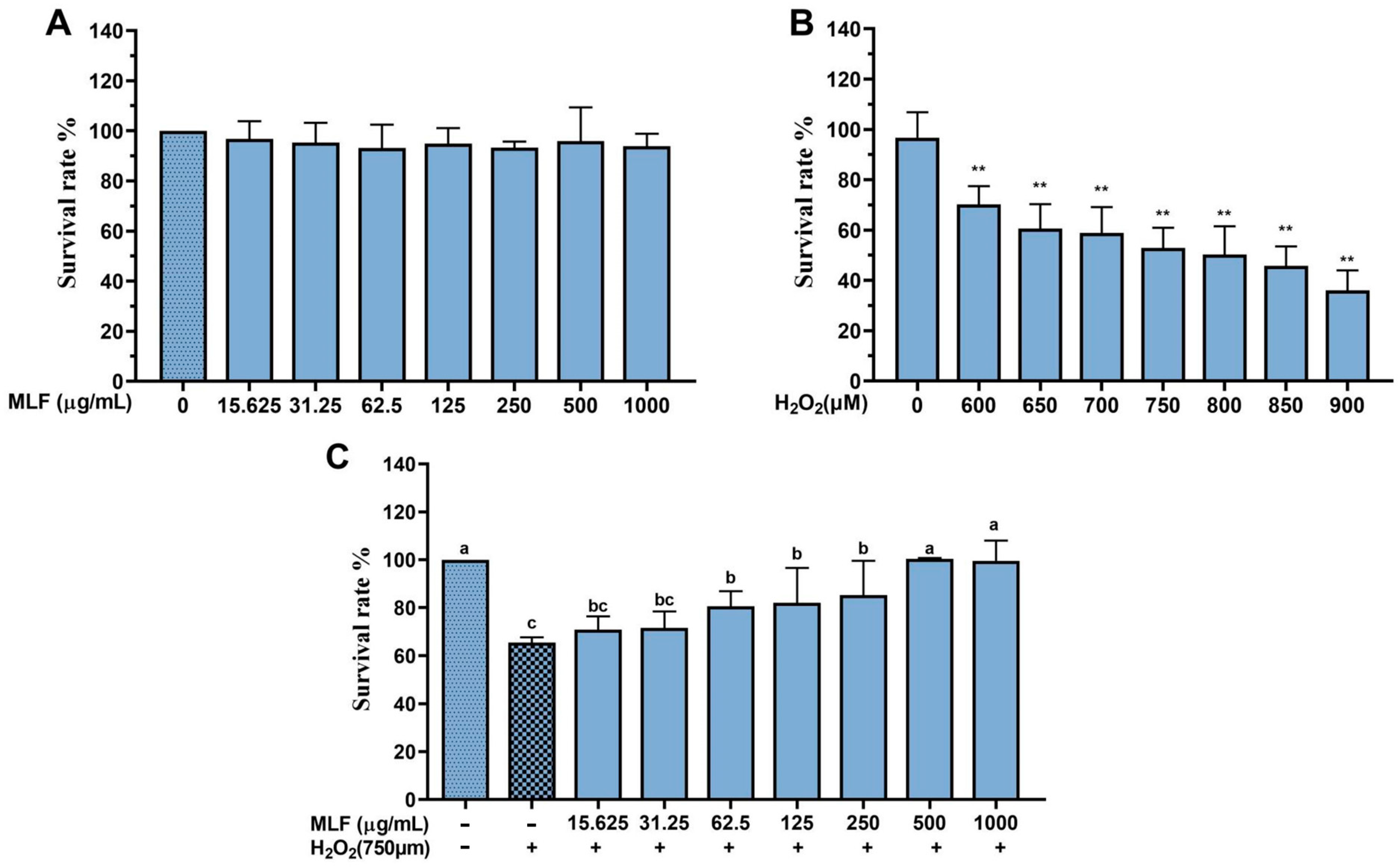 Molecules 29 02597 g001