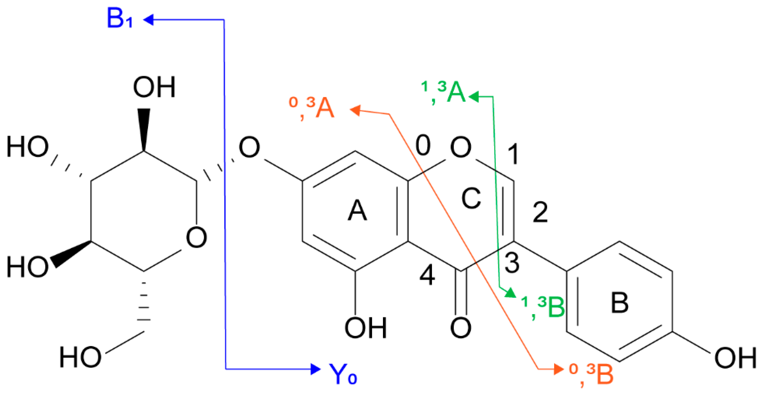 Molecules 29 02598 g001