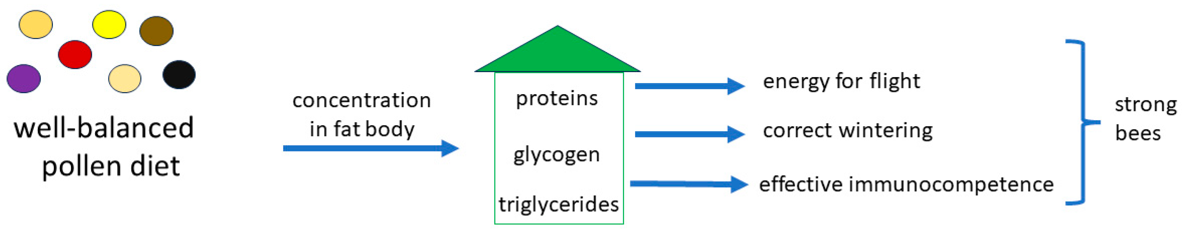 Molecules 29 02605 g001